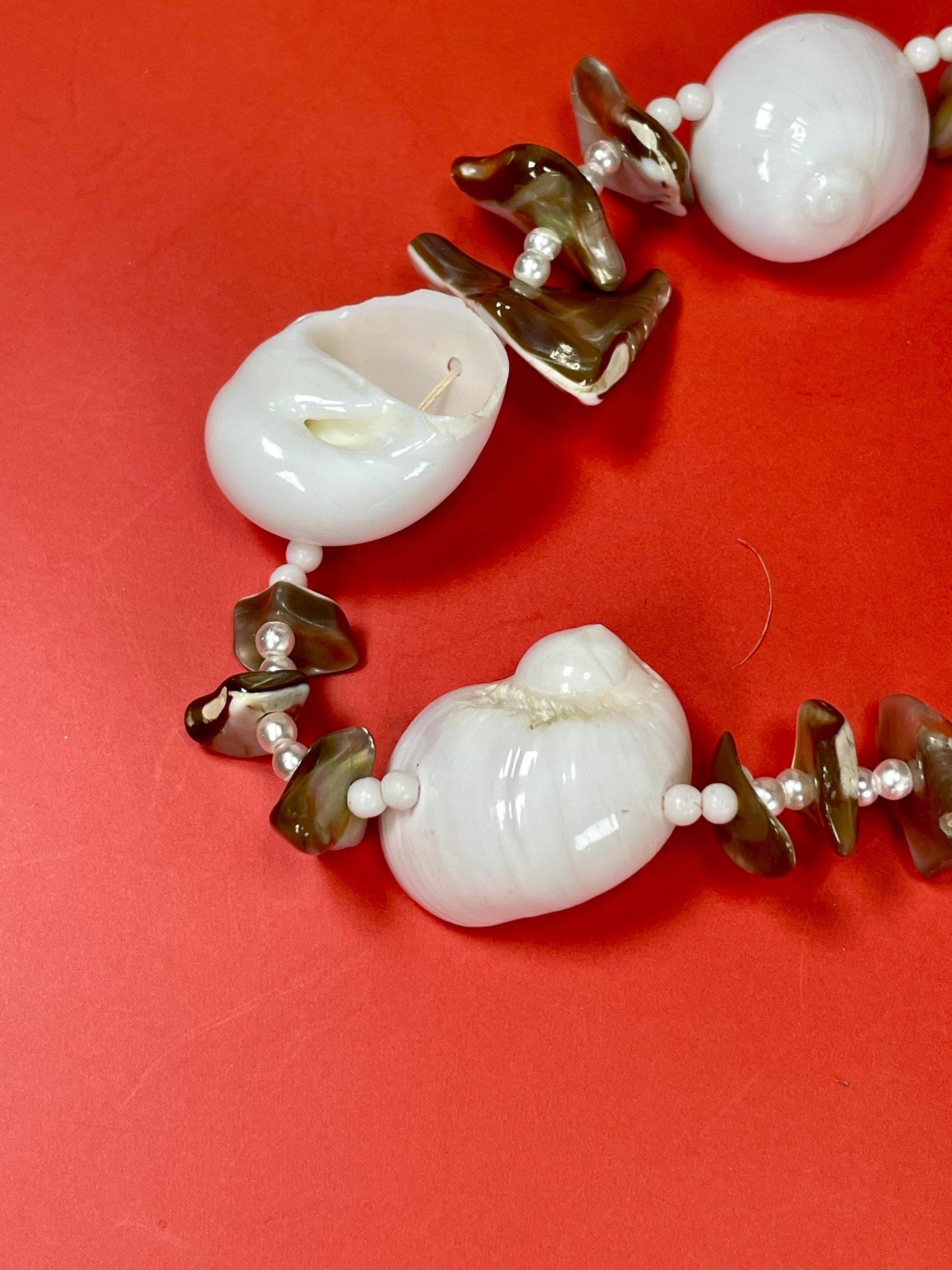 Lovely Polished Shell Necklace —