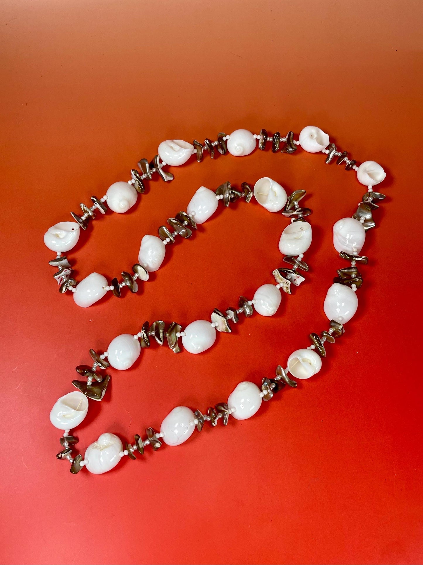 Lovely Polished Shell Necklace