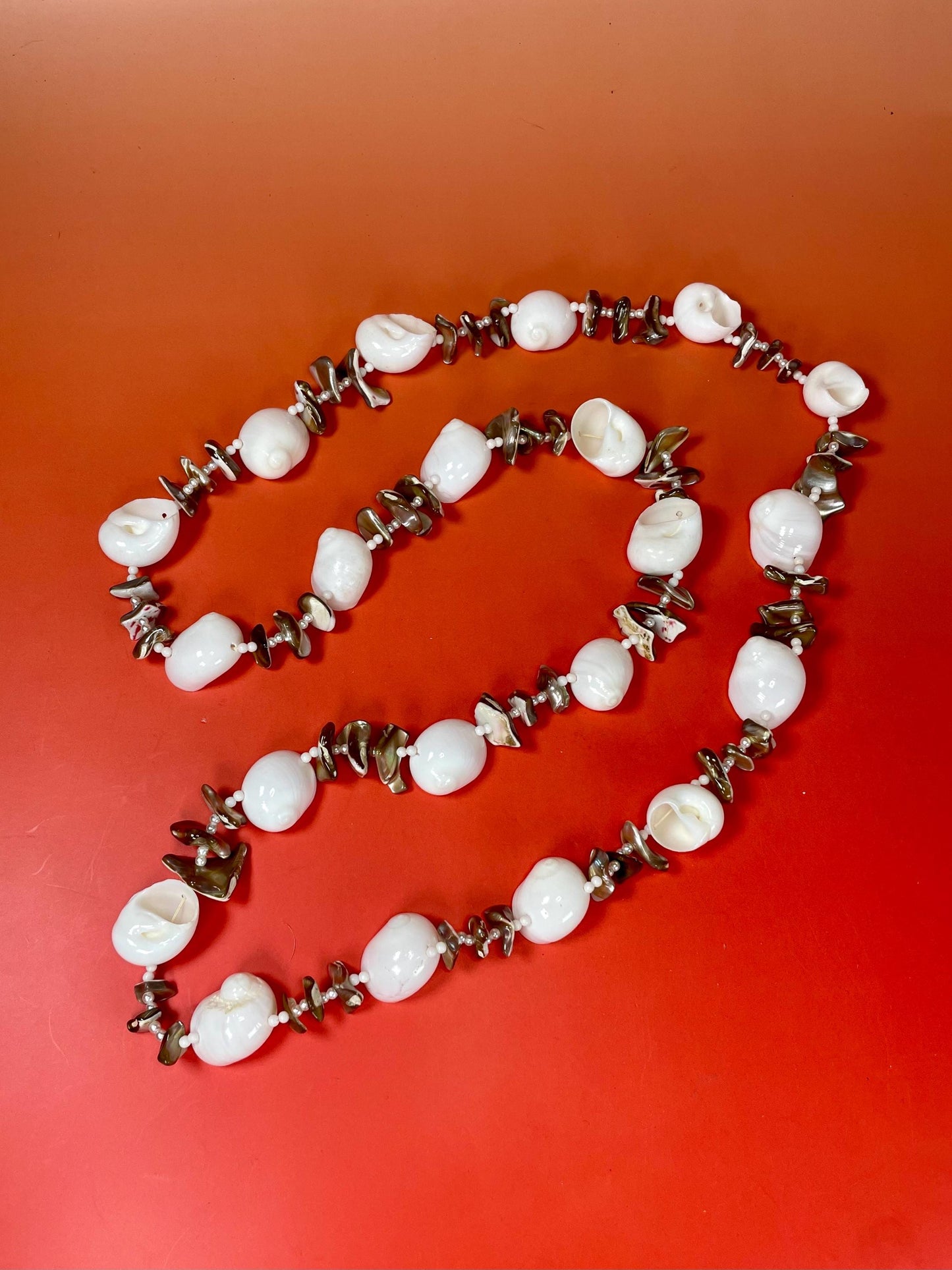 Lovely Polished Shell Necklace —