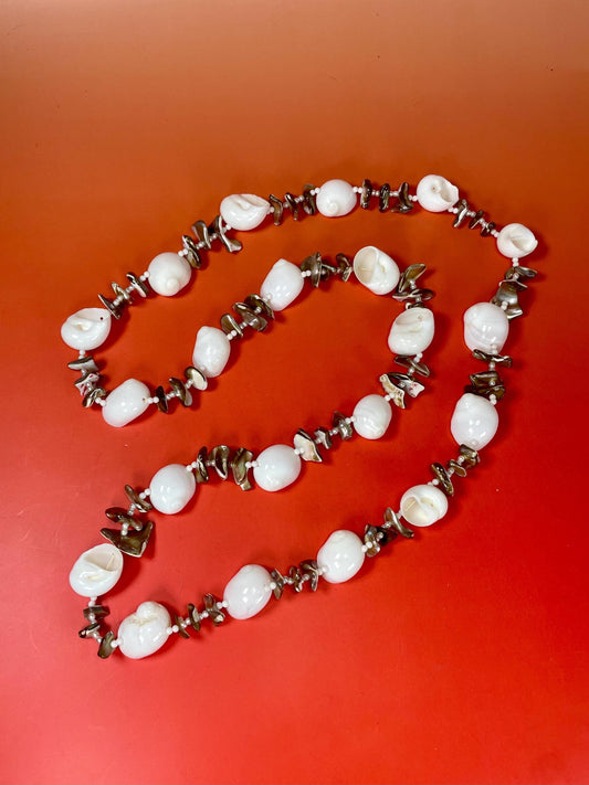 Lovely Polished Shell Necklace —