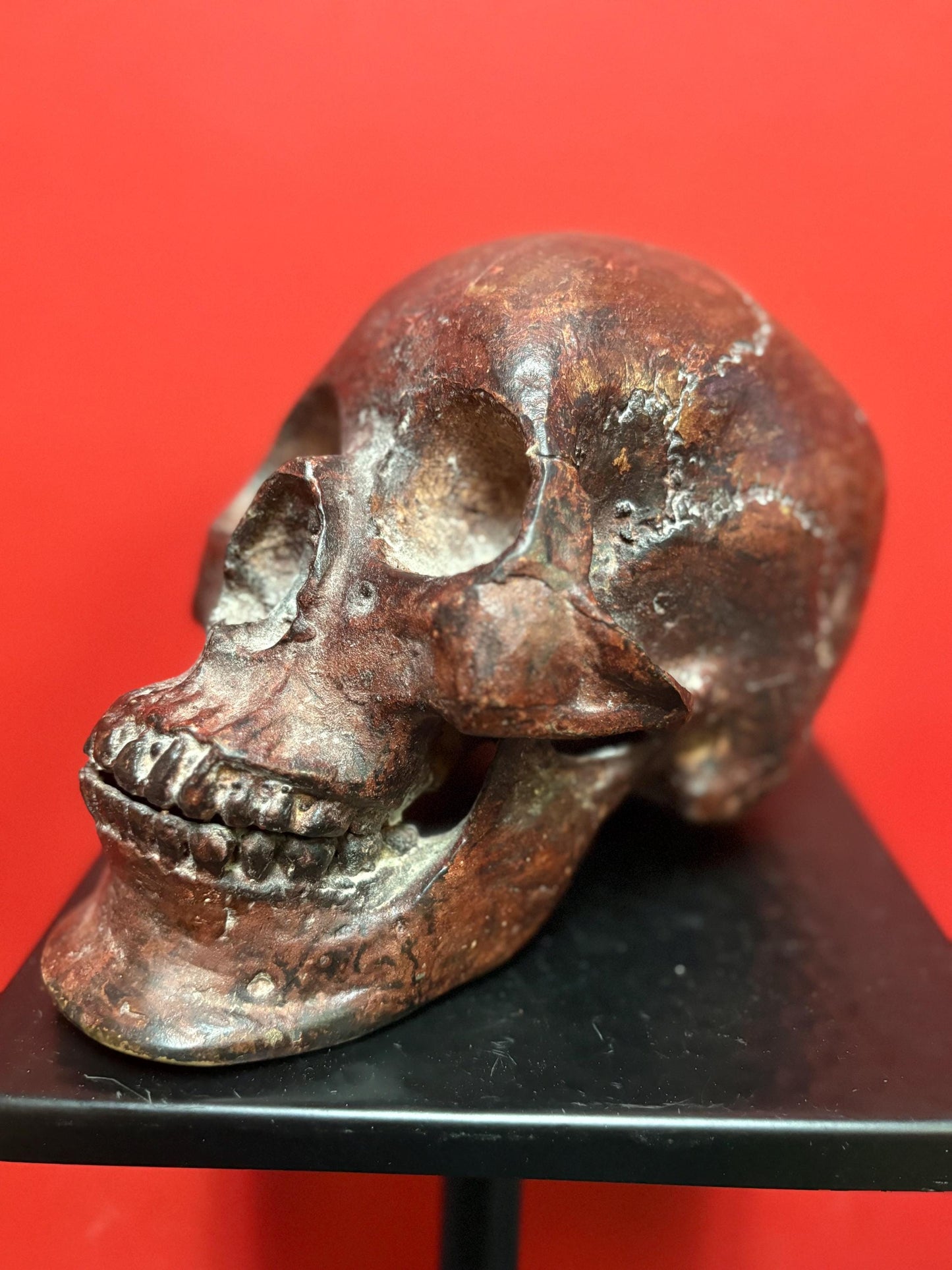Amazing amazing 9 x 5” tall life like detailed bronze statue of a skull — mint condition — fabulous patina - wow