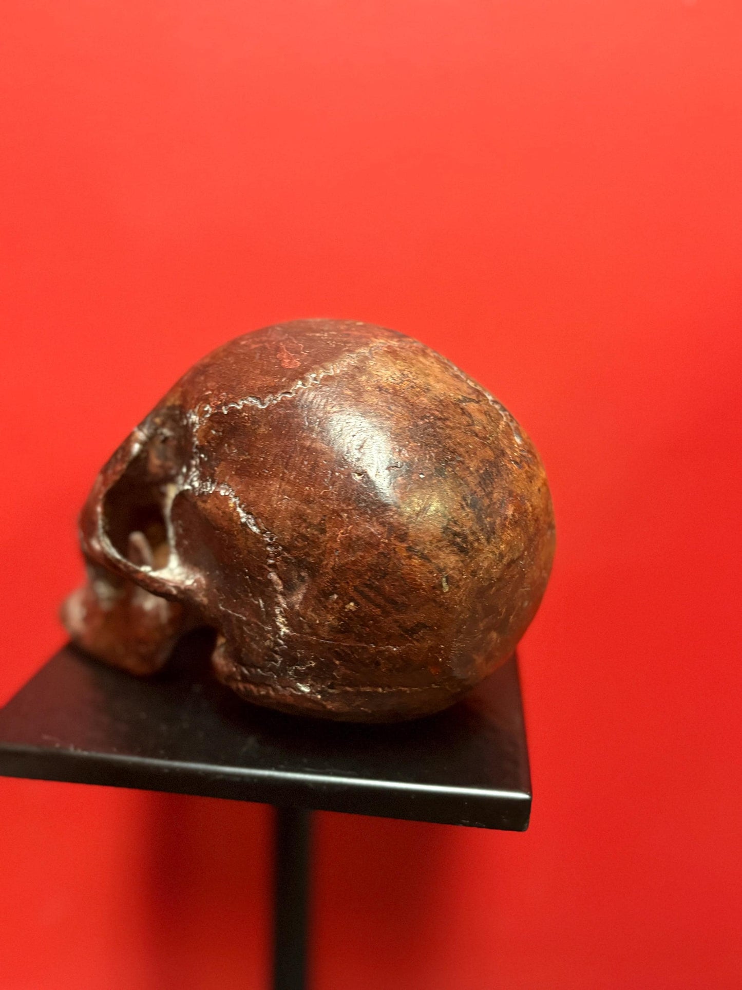 Amazing amazing 9 x 5” tall life like detailed bronze statue of a skull — mint condition — fabulous patina - wow