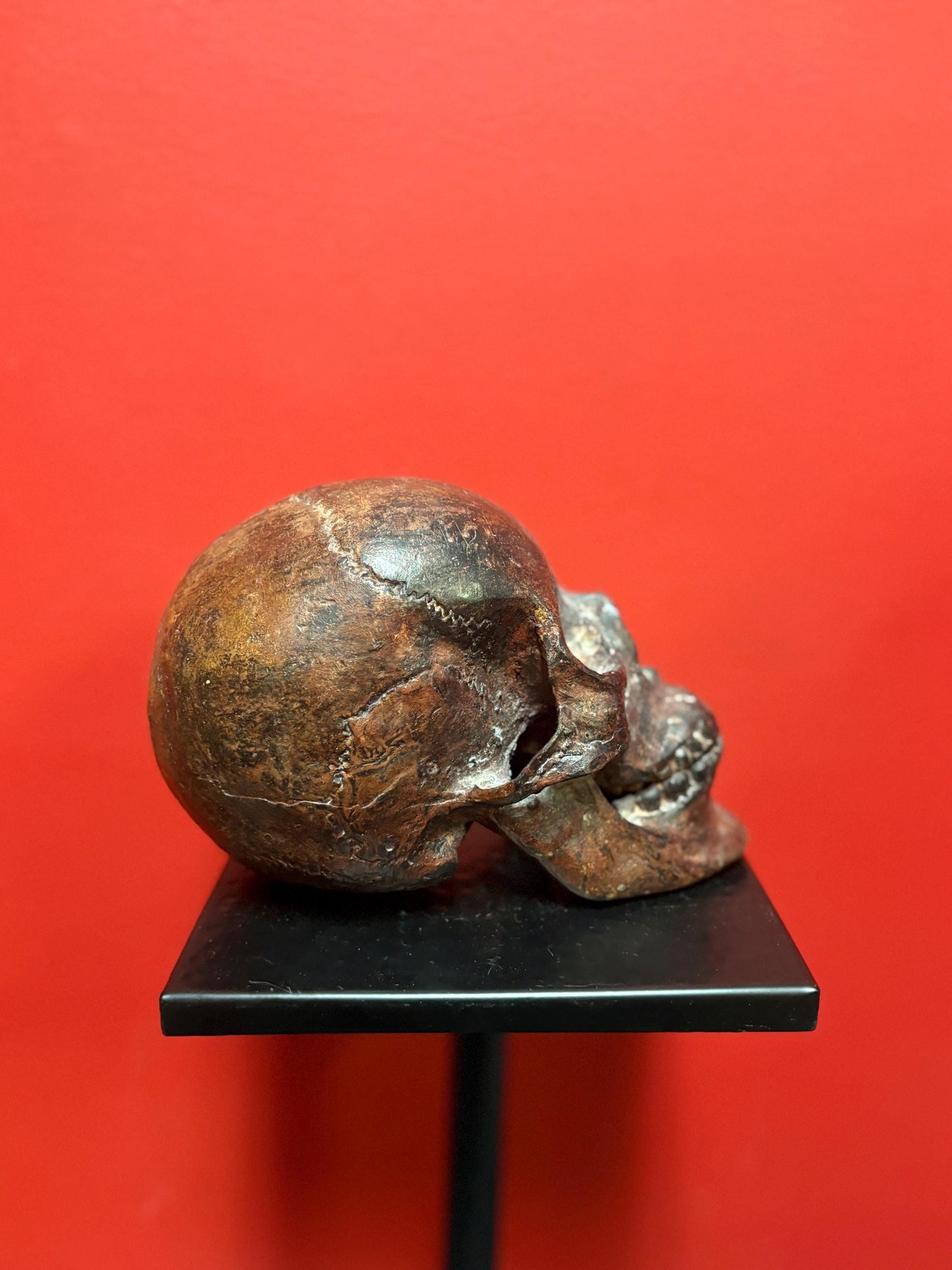 Amazing amazing 9 x 5” tall life like detailed bronze statue of a skull — mint condition — fabulous patina - wow