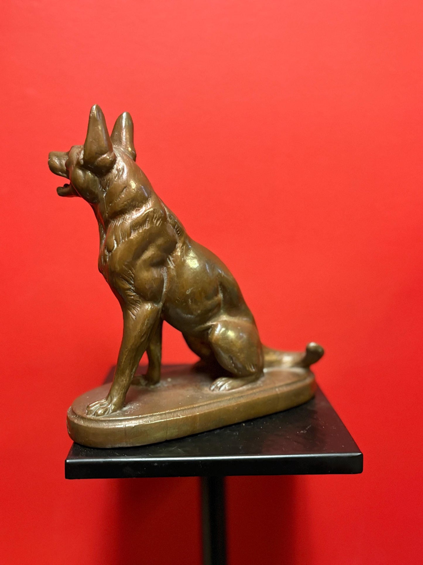 beautiful 9 inch bronze amazing bronze German Shepard - great patina  good detail  perfect gift  wow