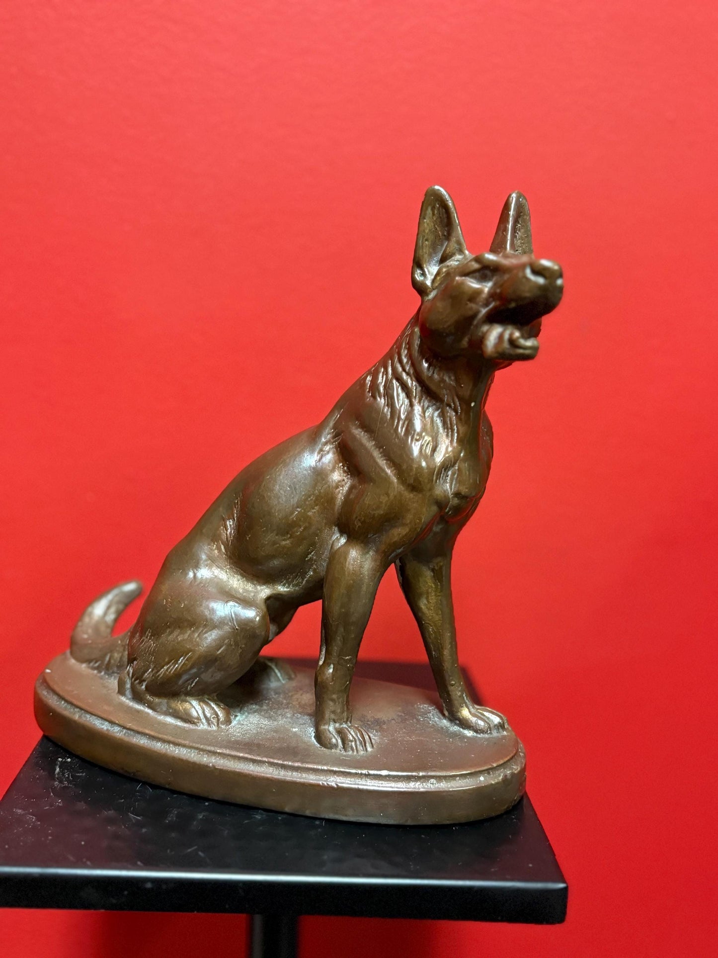 beautiful 9 inch bronze amazing bronze German Shepard - great patina  good detail  perfect gift  wow