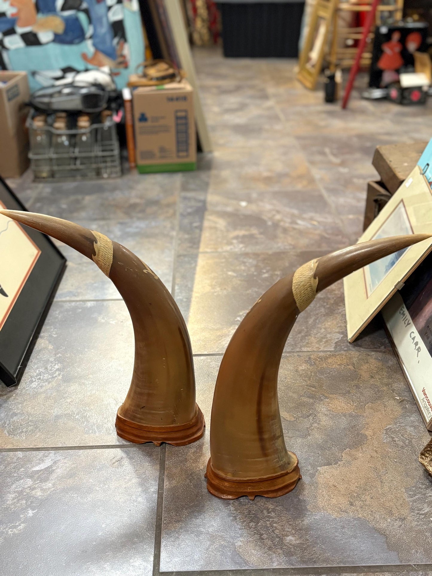 Large pair water Buffalo Chinese horns with animal imagery  approx 16 x 5 inch - great look and amazing price