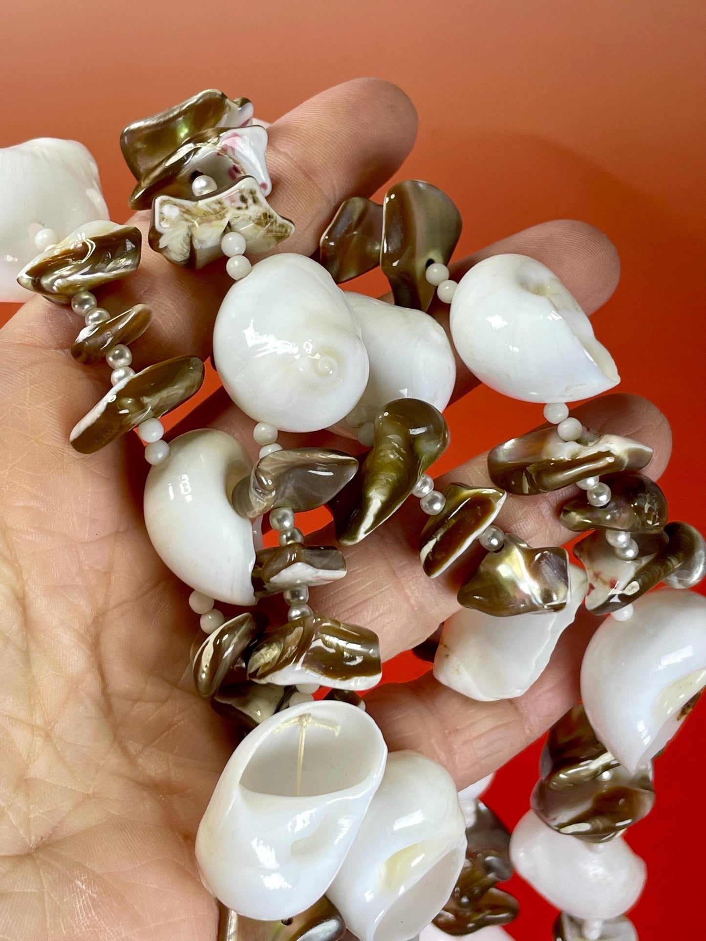 Lovely Polished Shell Necklace —