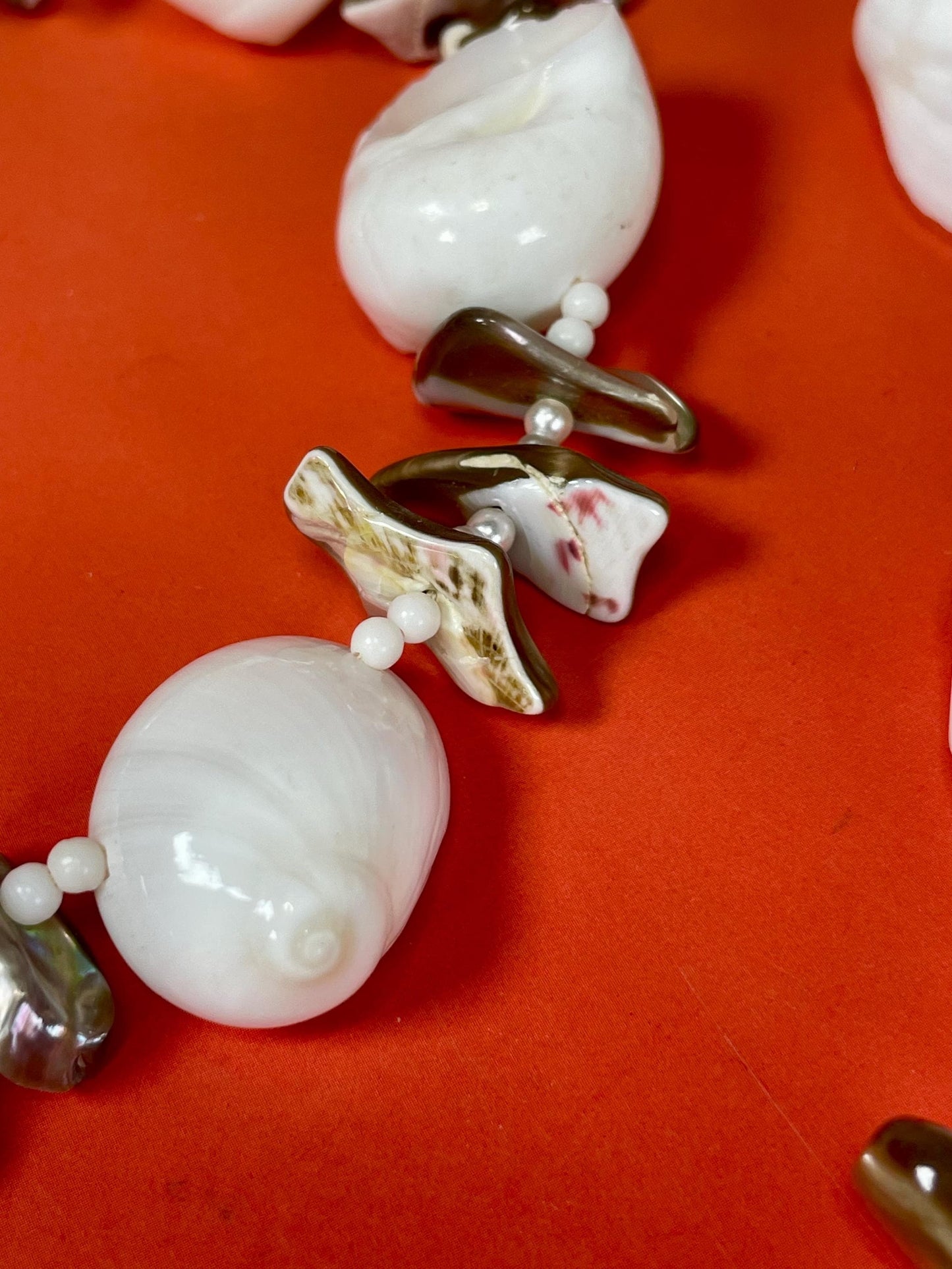 Lovely Polished Shell Necklace —