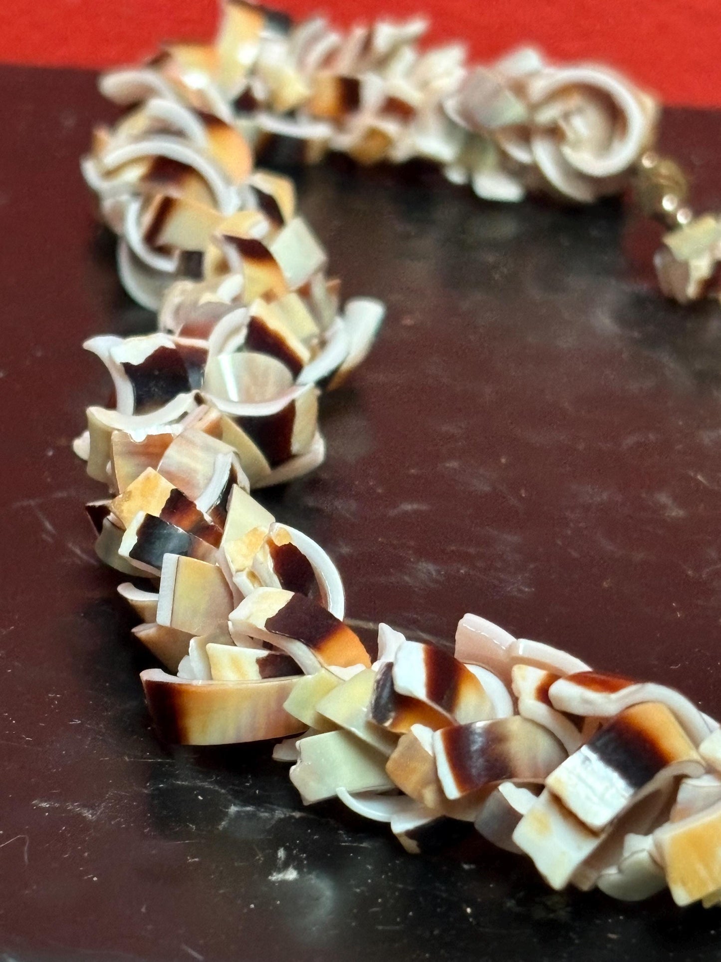 Very cool shell necklace approx 18 inches beautiful gift