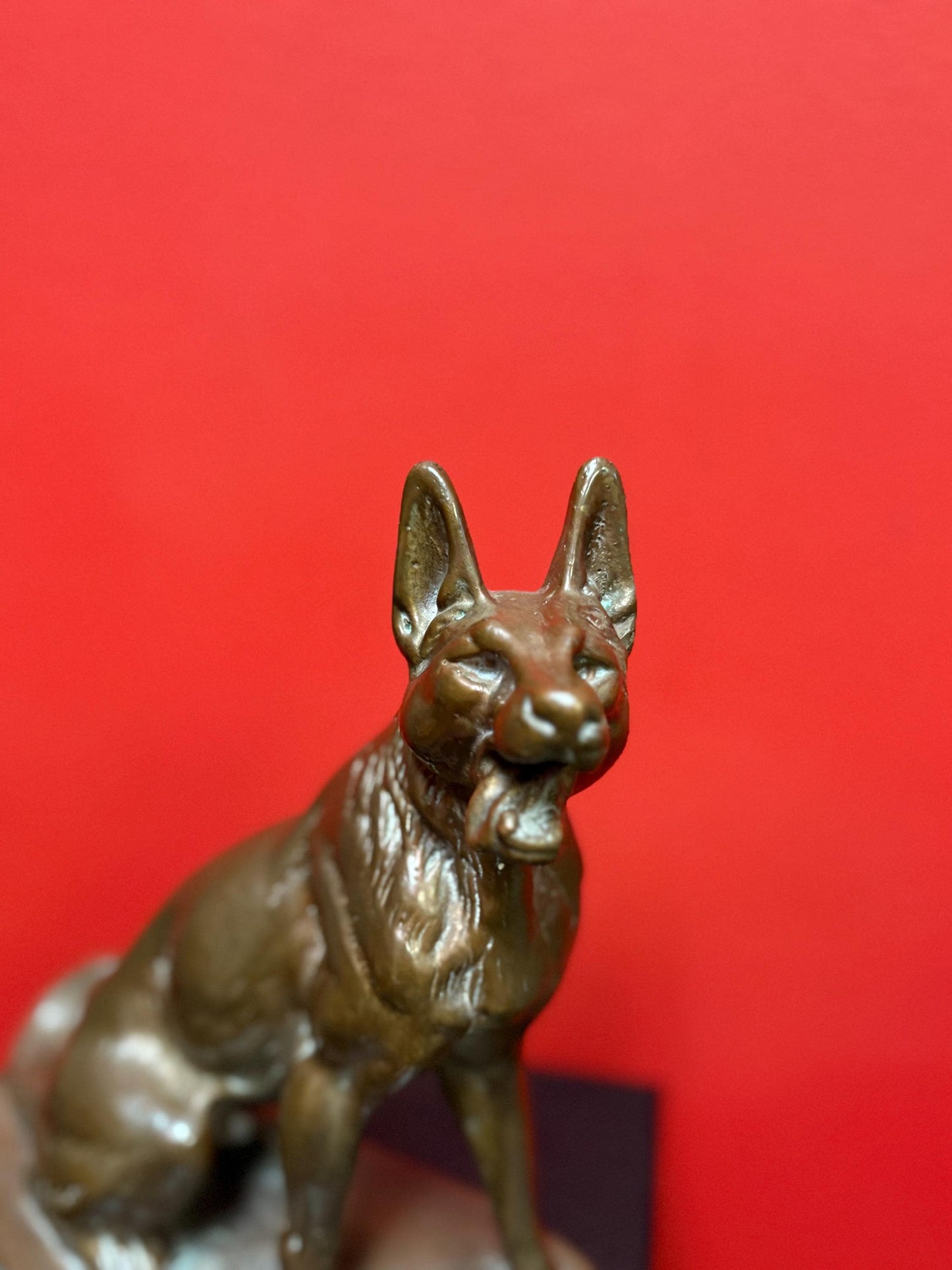 beautiful 9 inch bronze amazing bronze German Shepard - great patina  good detail  perfect gift  wow