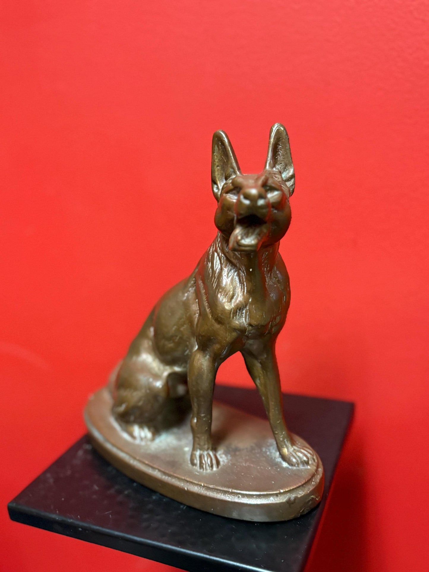 beautiful 9 inch bronze amazing bronze German Shepard - great patina  good detail  perfect gift  wow
