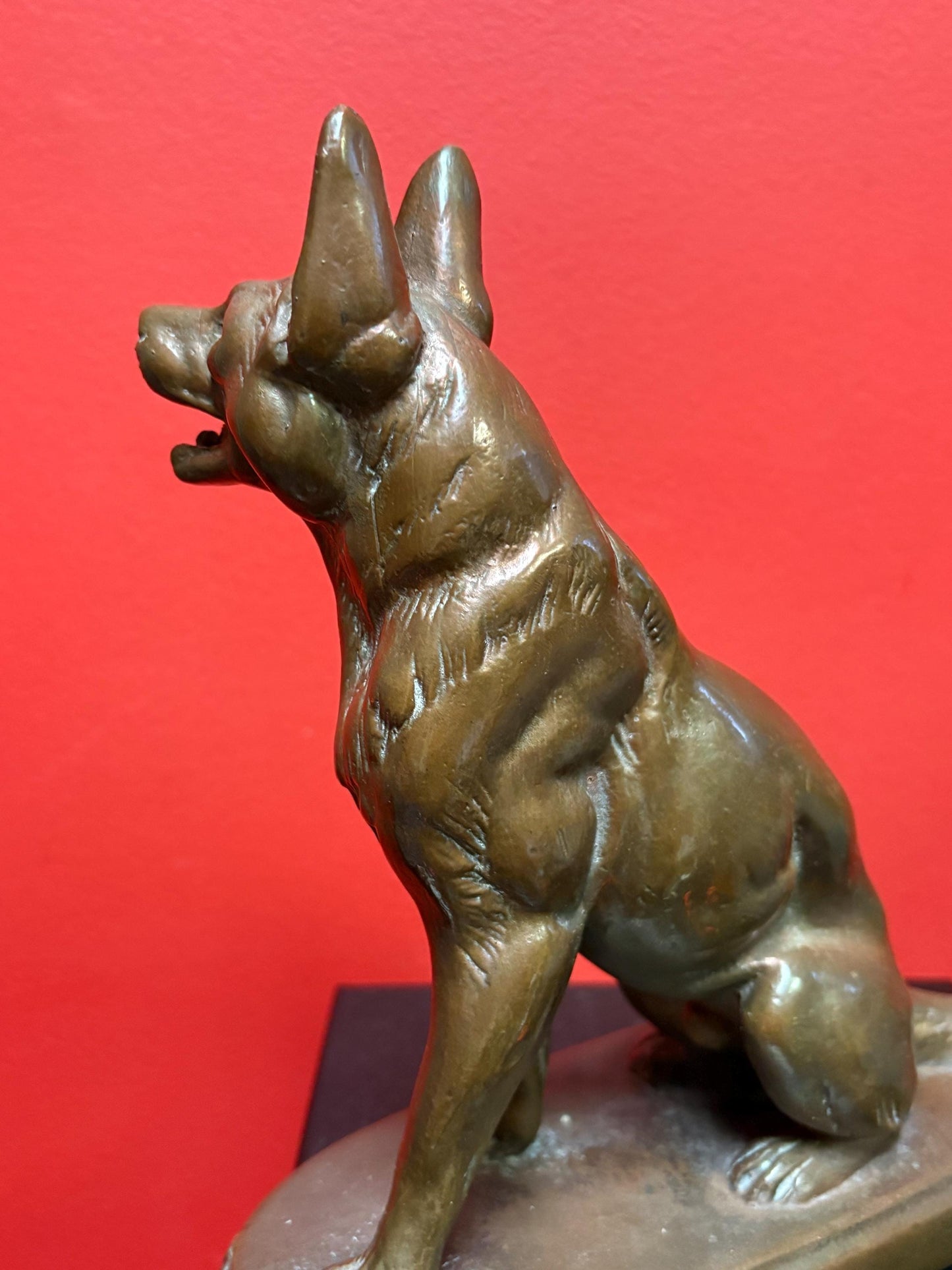 beautiful 9 inch bronze amazing bronze German Shepard - great patina  good detail  perfect gift  wow