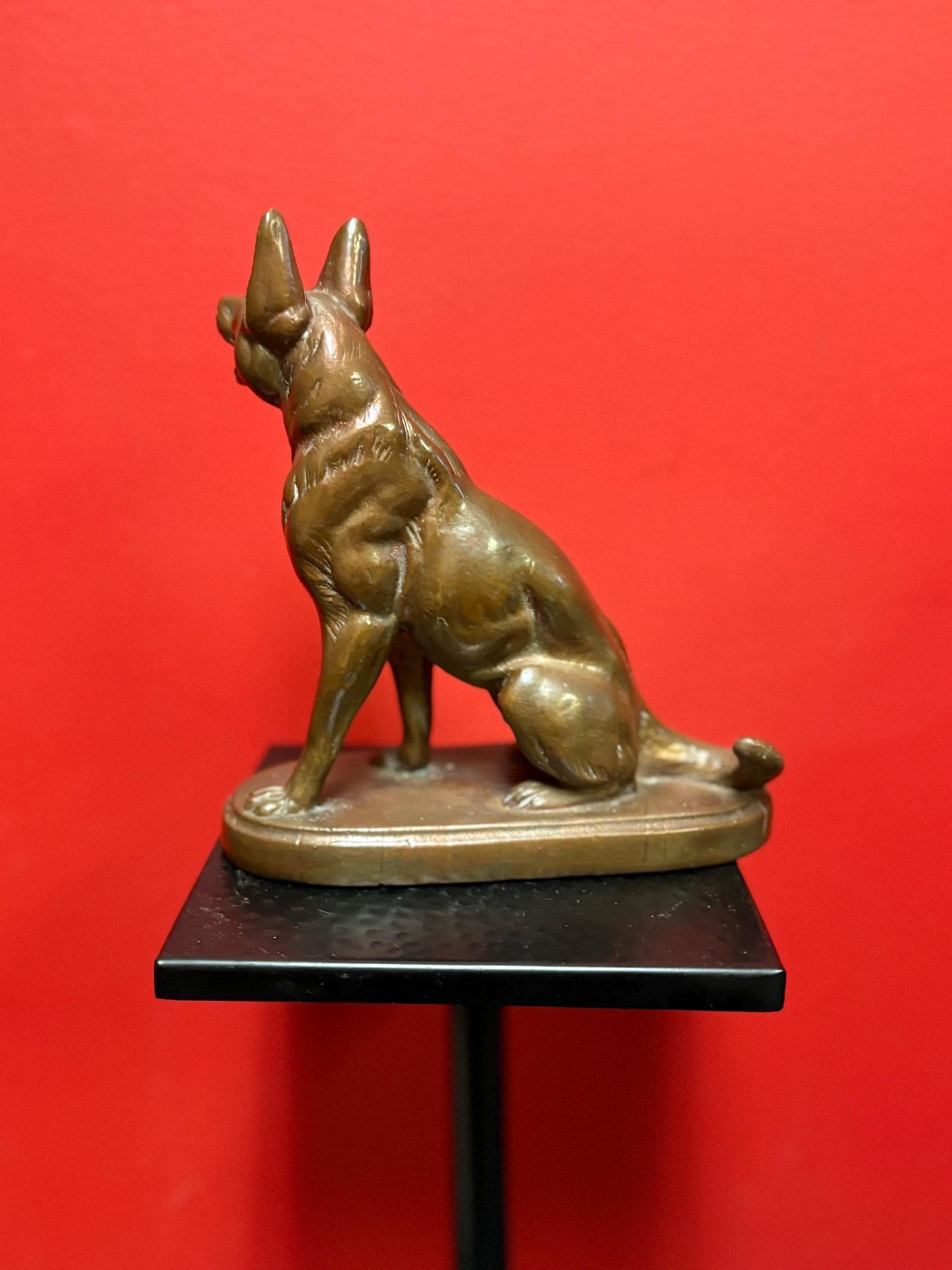 beautiful 9 inch bronze amazing bronze German Shepard - great patina  good detail  perfect gift  wow