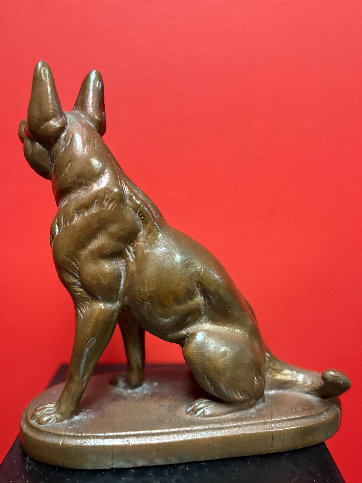 beautiful 9 inch bronze amazing bronze German Shepard - great patina  good detail  perfect gift  wow