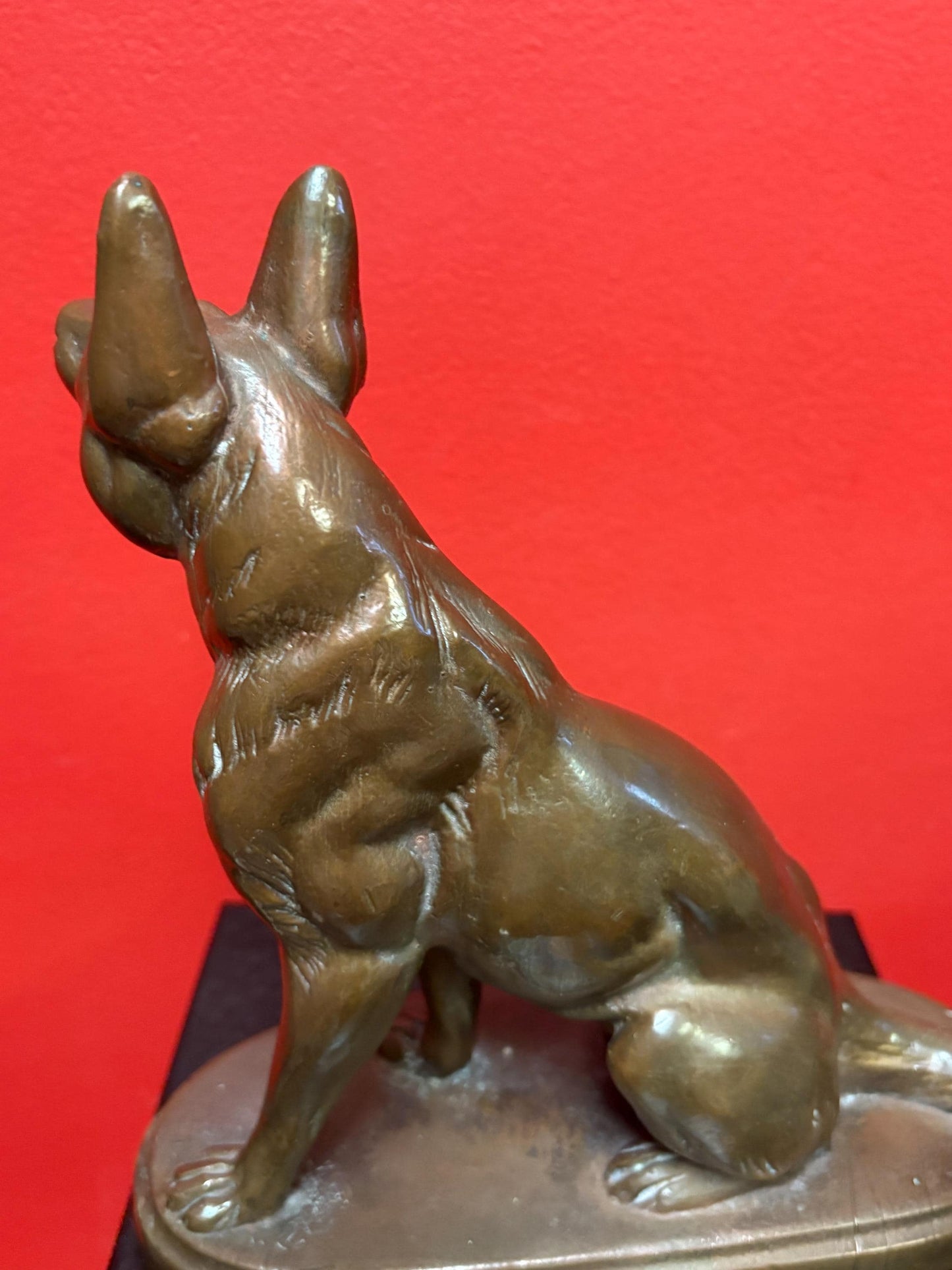 beautiful 9 inch bronze amazing bronze German Shepard - great patina  good detail  perfect gift  wow