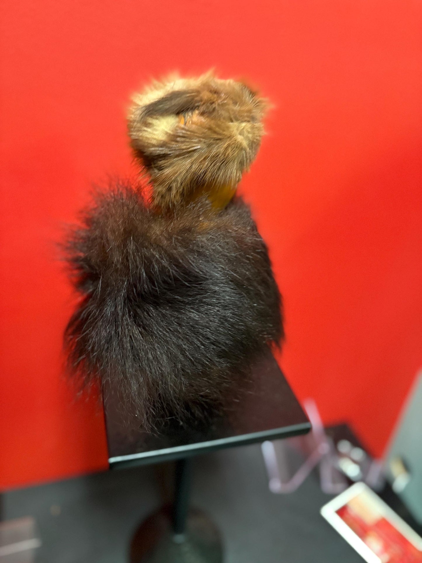 Stunning museum quality antique indigenous First Nations Pacific Northwest coast dancing doll with original fur cape  wow -