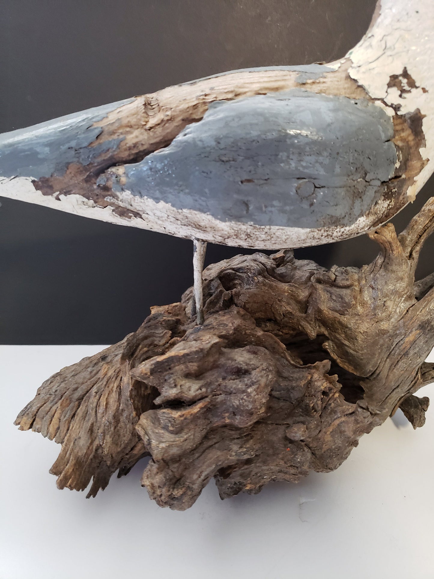 Rare Folk Art Seagull on Driftwood