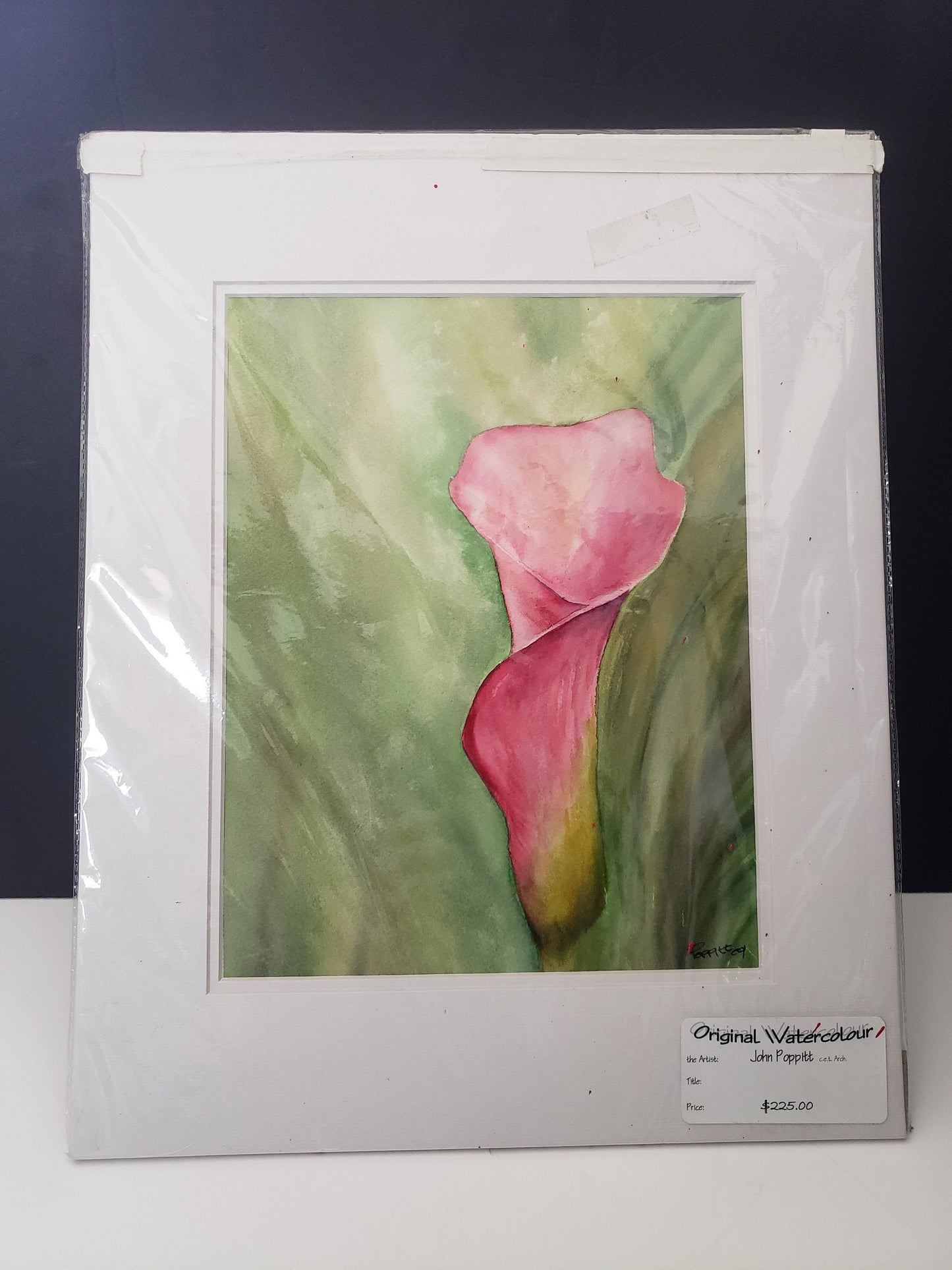Orginal John Poppitt Watercolour Painting
