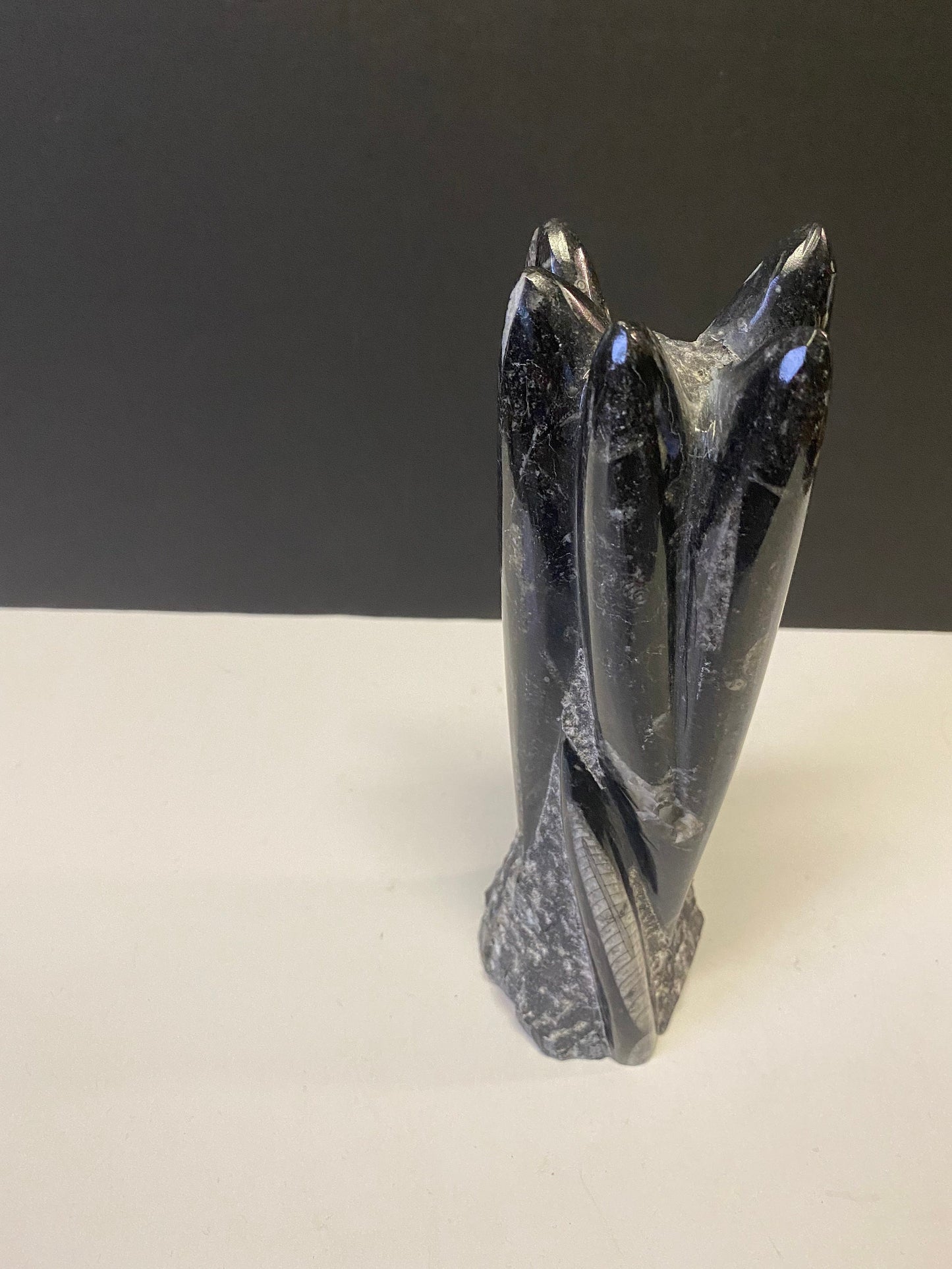 An Ancient archeological authentic rock and shell  fossil