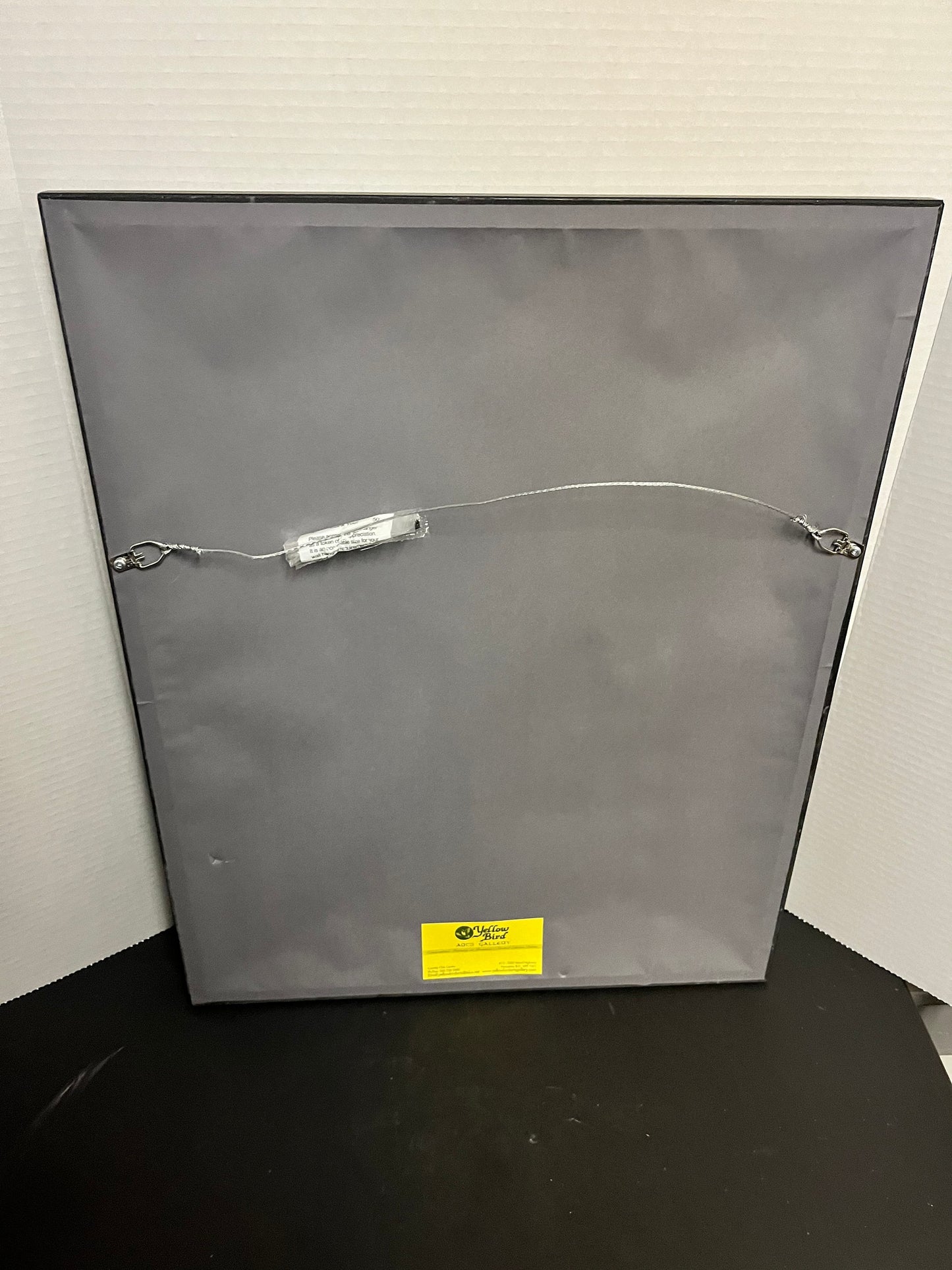 Absolutely incredible framed 22 x 17 authentic authorized limited edition print of Edward Curtis work photo  Brand new frame and matting