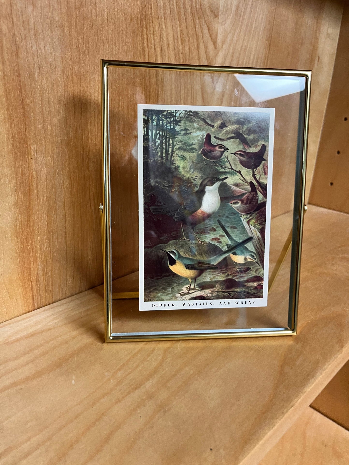 7.9 x 5.9 inch MCM style brass  frame. With country chic photo  leave it be or put your own photo in