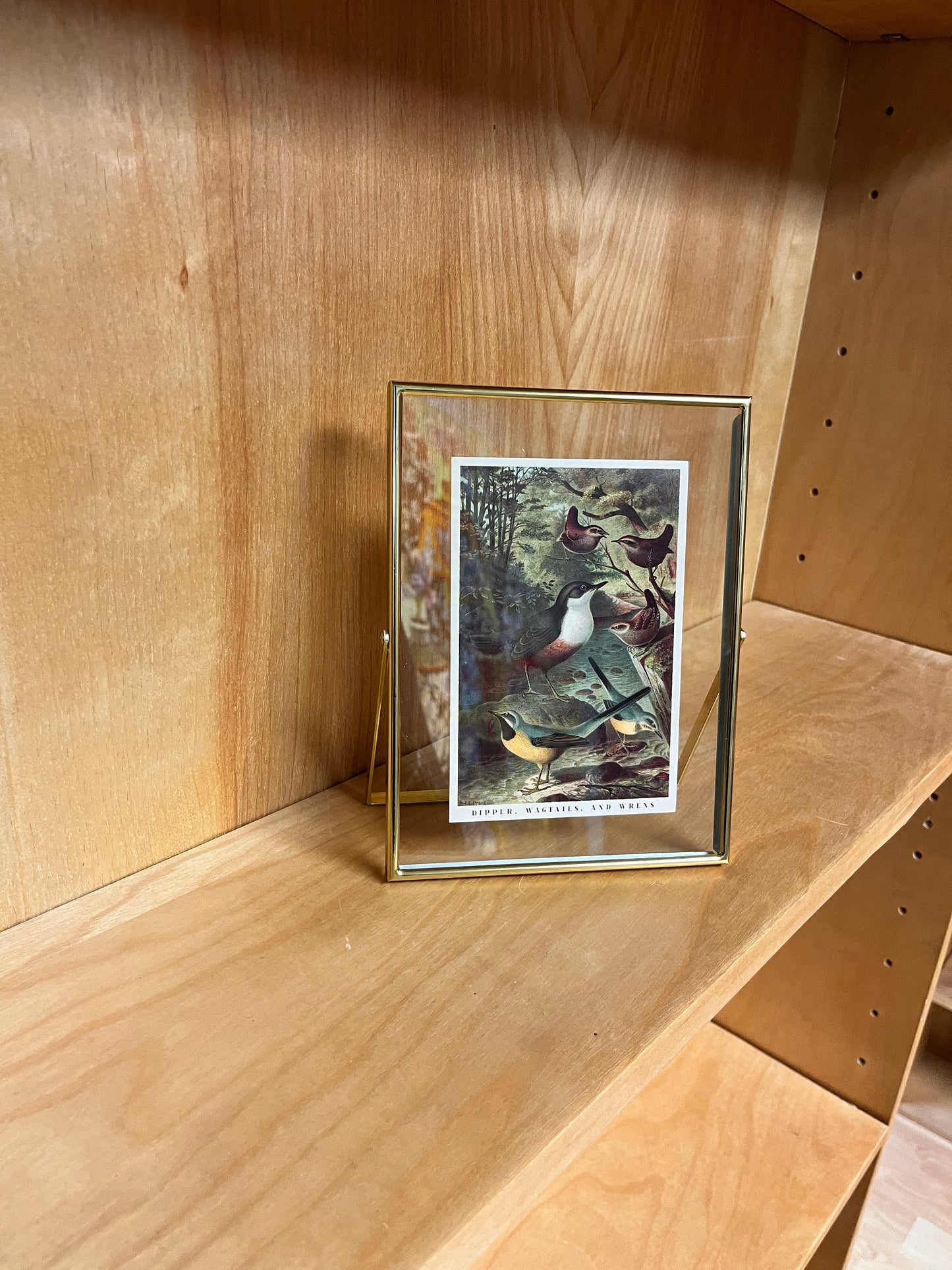 7.9 x 5.9 inch MCM style brass  frame. With country chic photo  leave it be or put your own photo in