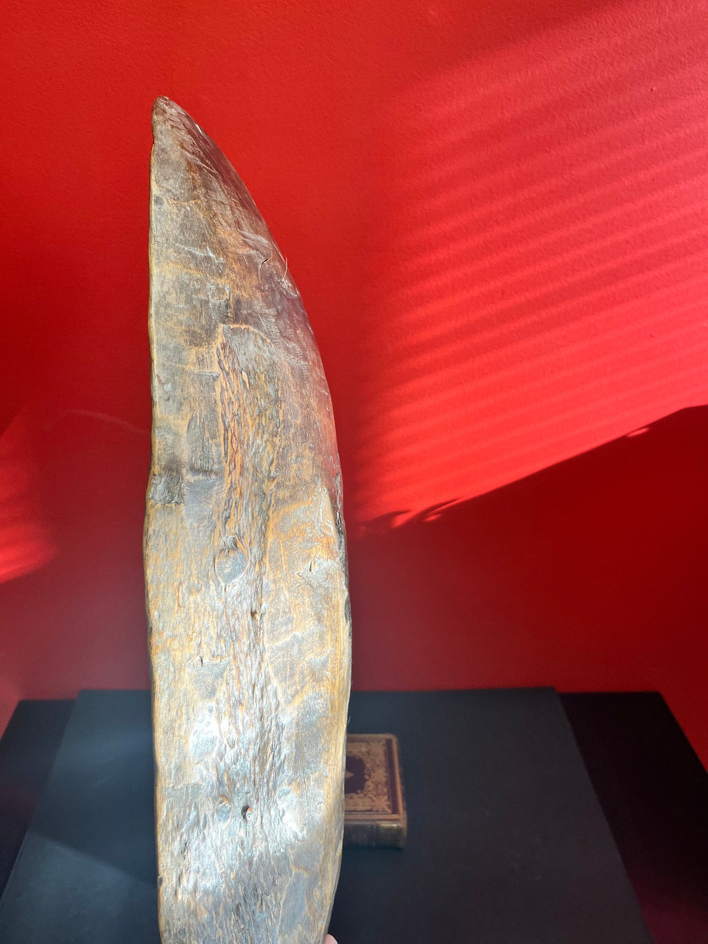 Indigenous first nations  Haida Authentic 1820s 23 x 10 ceremonial bowl  came from museum collection  rare rare  great condition