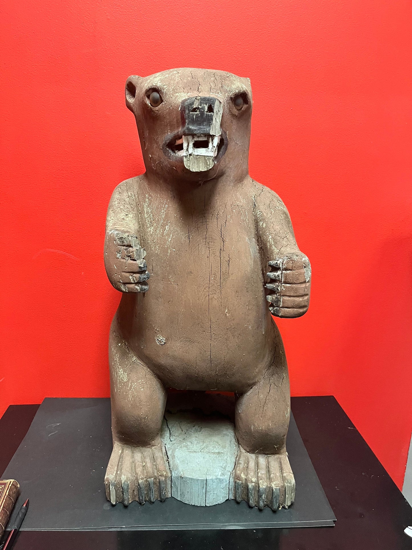 27 inch tall heavy Cedar 1940s indigenous Haida carved bear  antique condition  museum quality stunner