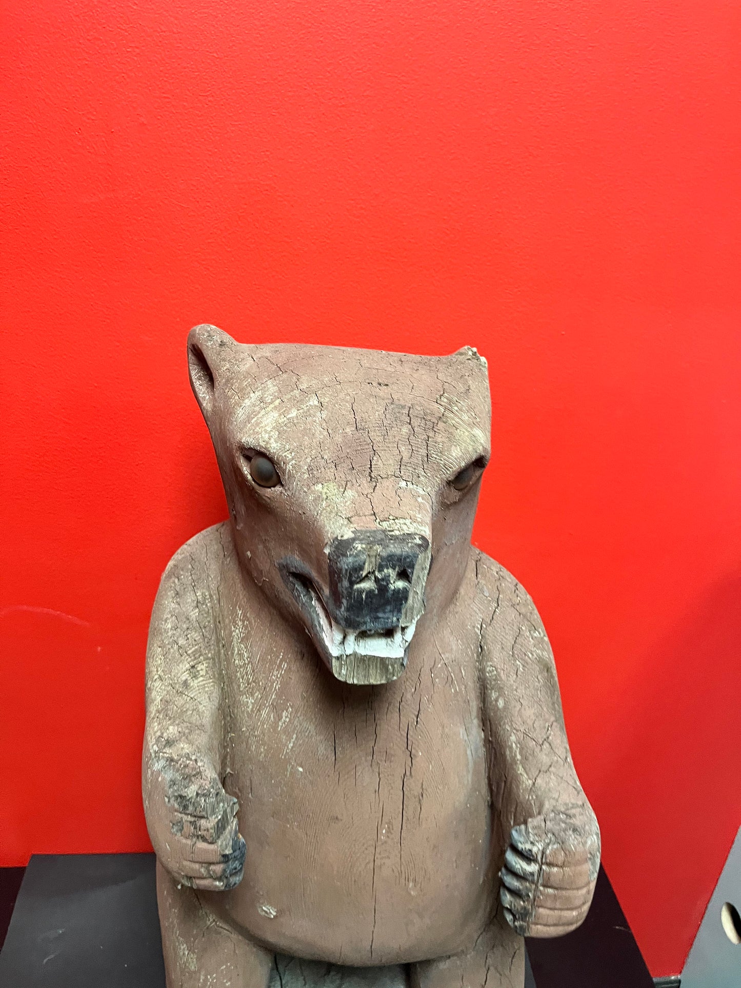 27 inch tall heavy Cedar 1940s indigenous Haida carved bear  antique condition  museum quality stunner