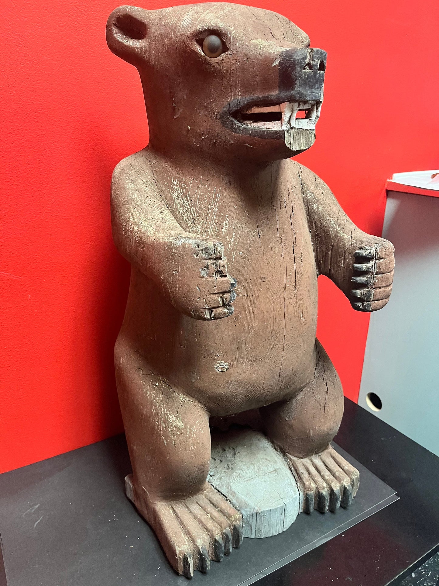 27 inch tall heavy Cedar 1940s indigenous Haida carved bear  antique condition  museum quality stunner