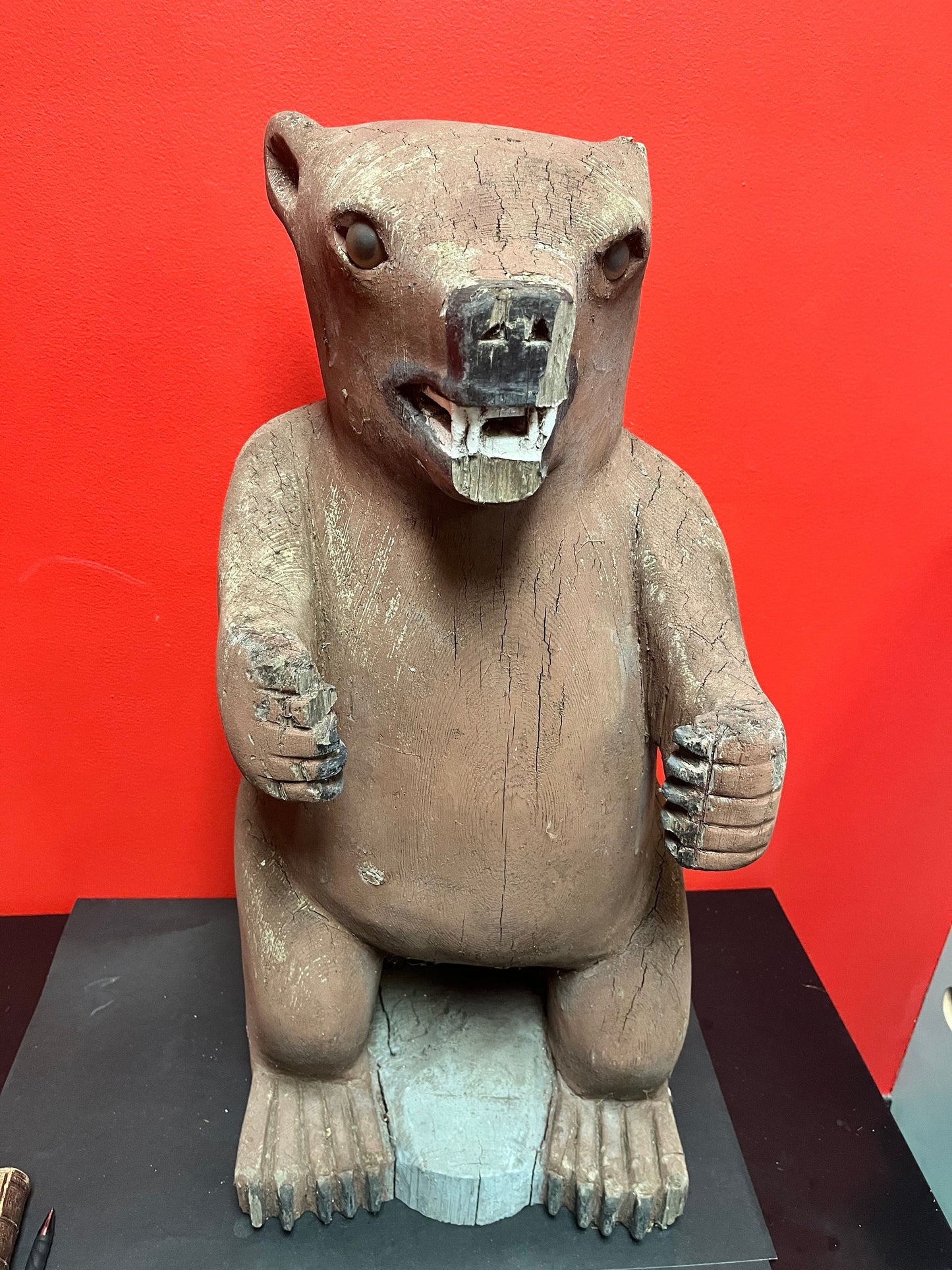27 inch tall heavy Cedar 1940s indigenous Haida carved bear  antique condition  museum quality stunner