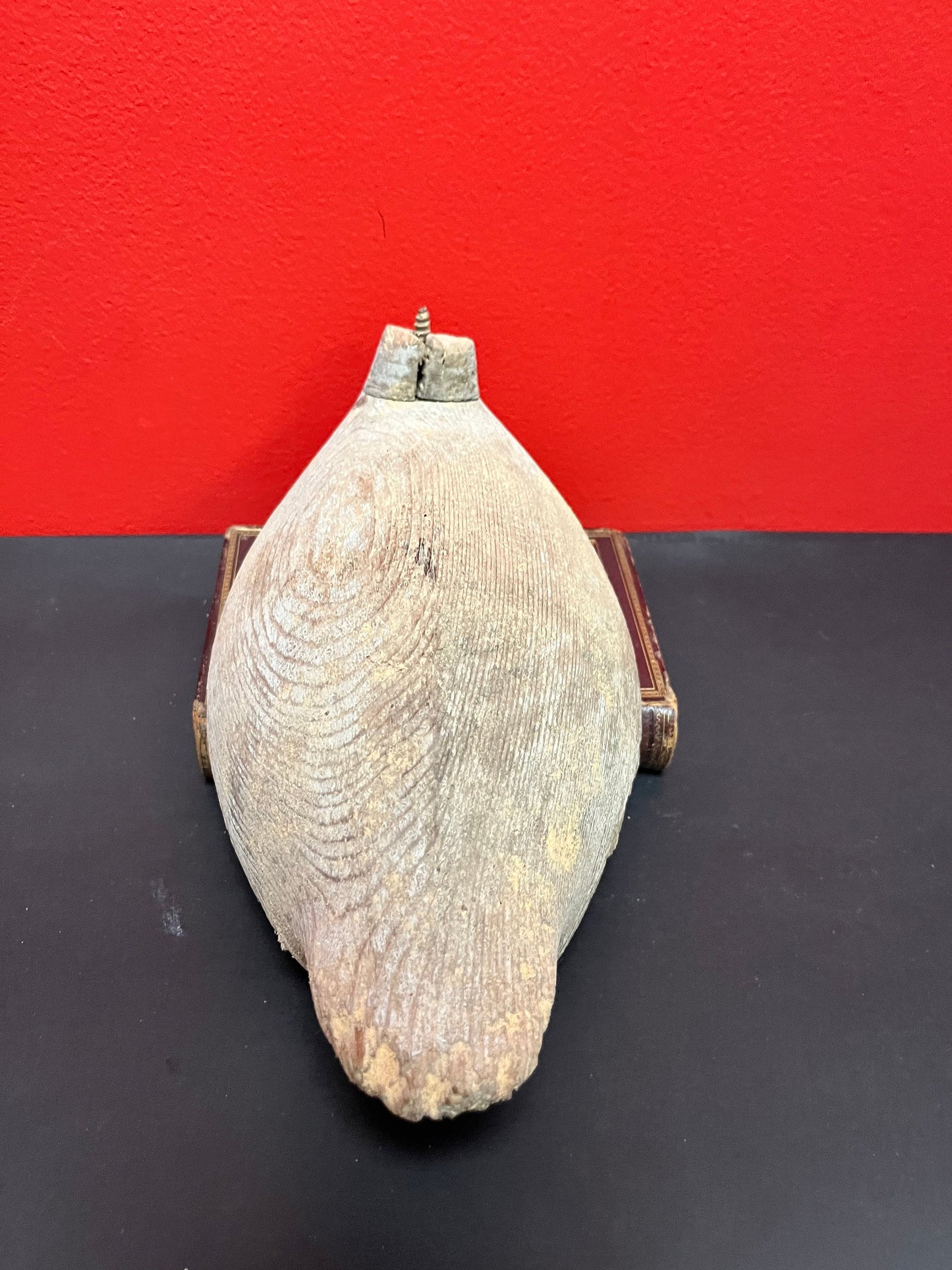 Oh my Johnny boy, its a 1928 signed headless duck decoy from sprout lake British Columbia