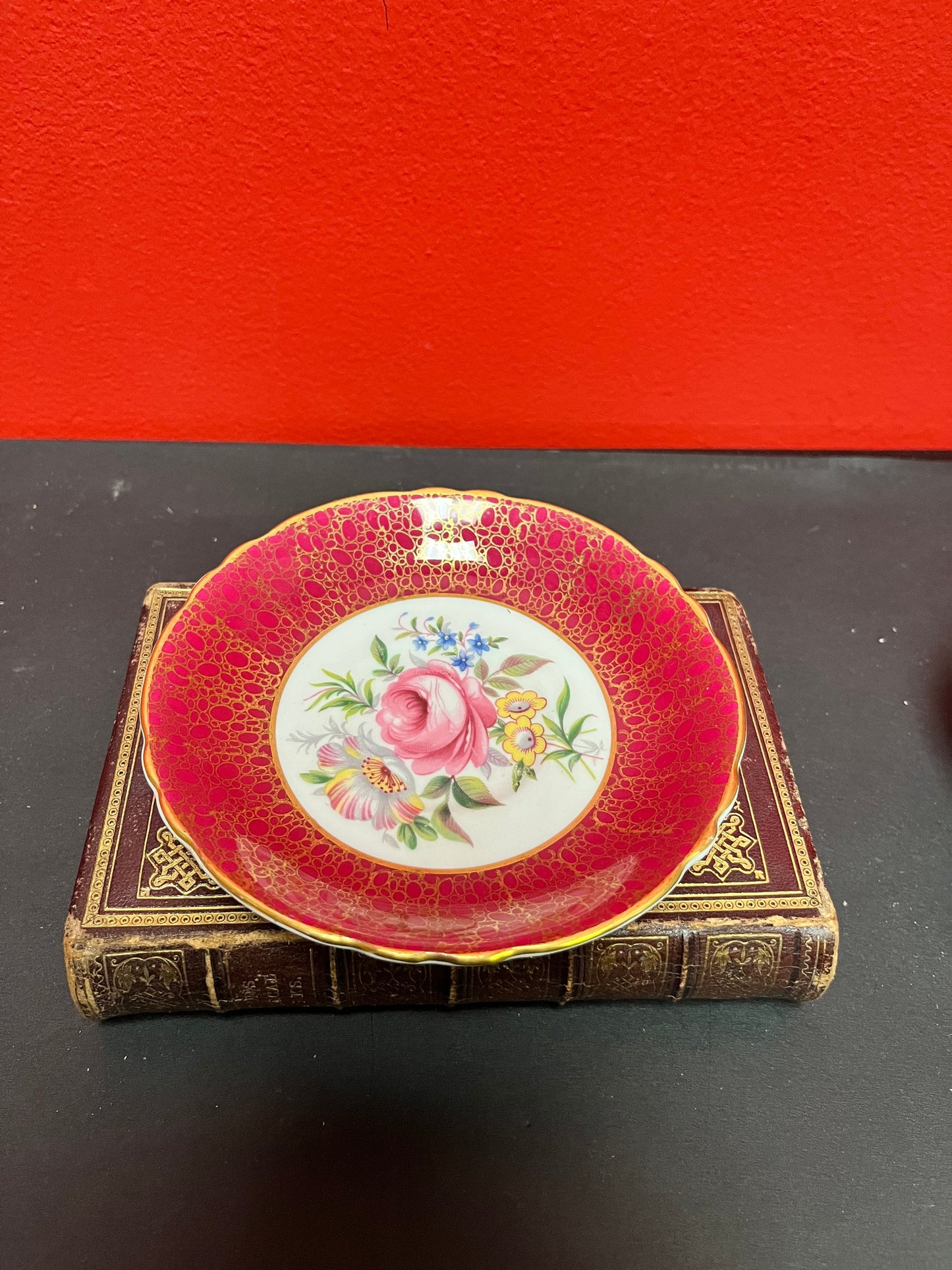 Paragon beautiful rare and cup and Saucer  mint condition  wow