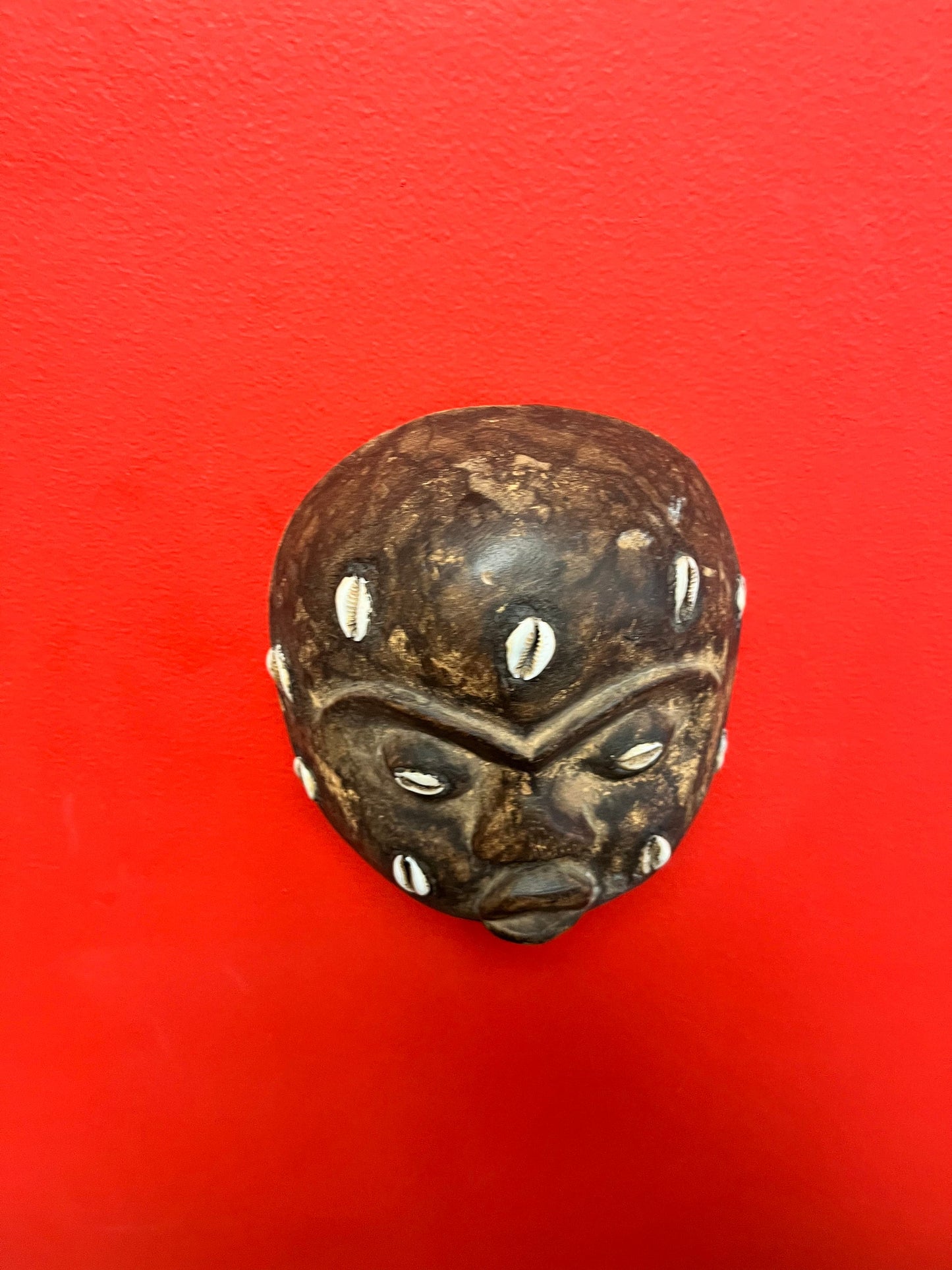 Wonderful African antique very rare 6 x 5 mask with puka shells   wow