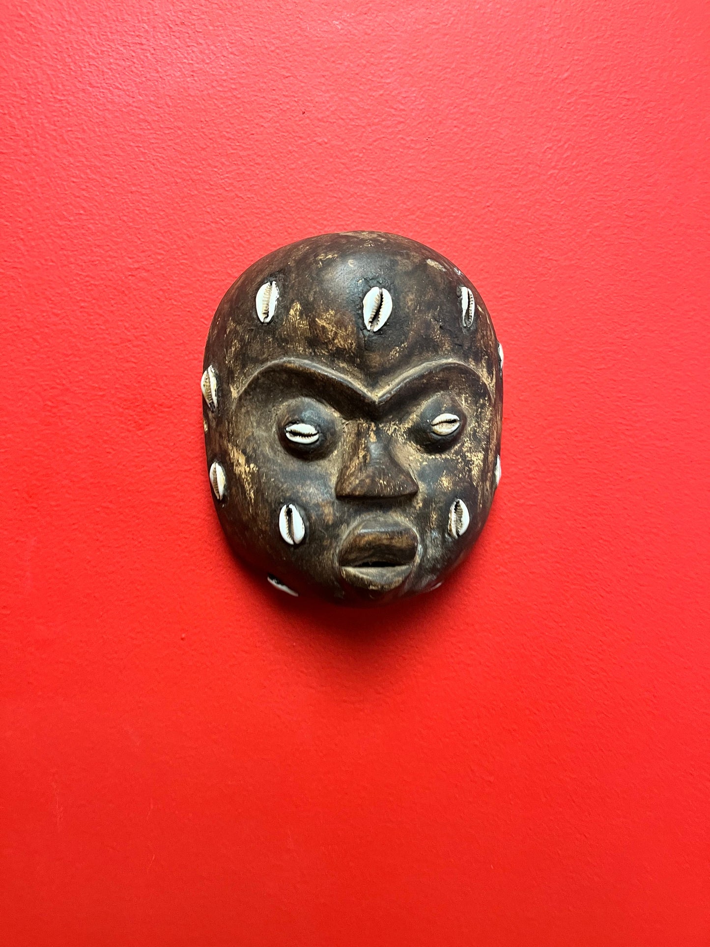 Wonderful African antique very rare 6 x 5 mask with puka shells   wow