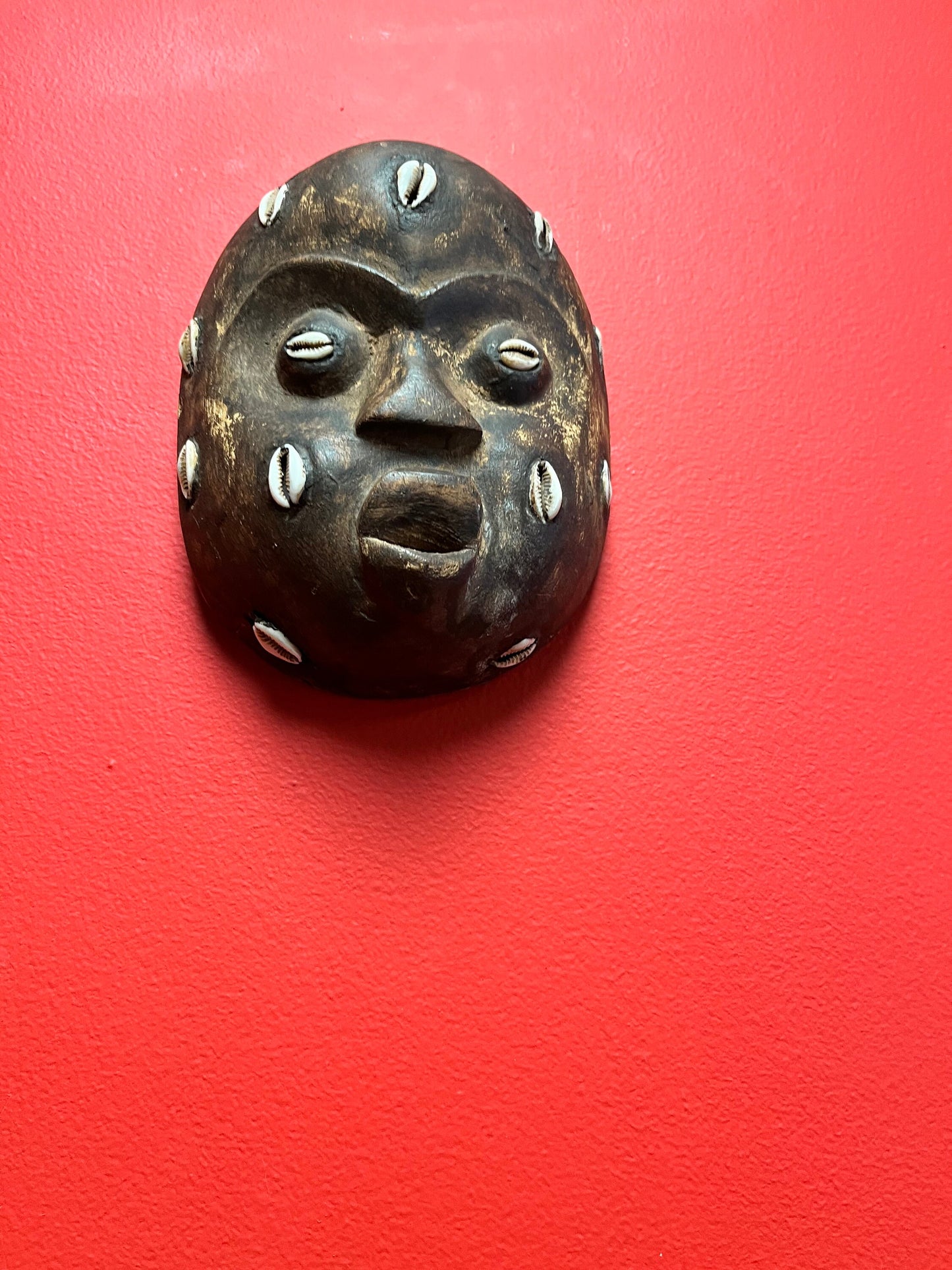 Wonderful African antique very rare 6 x 5 mask with puka shells   wow
