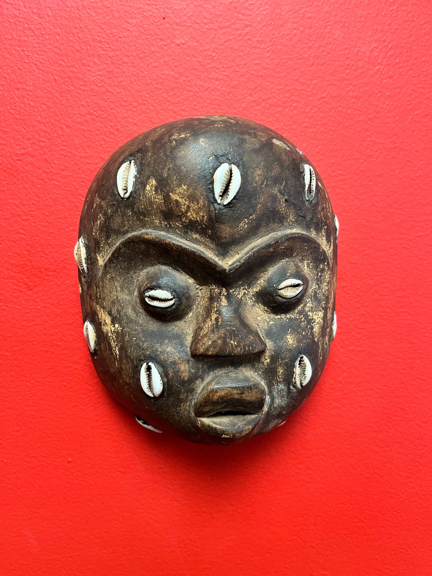 Wonderful African antique very rare 6 x 5 mask with puka shells   wow