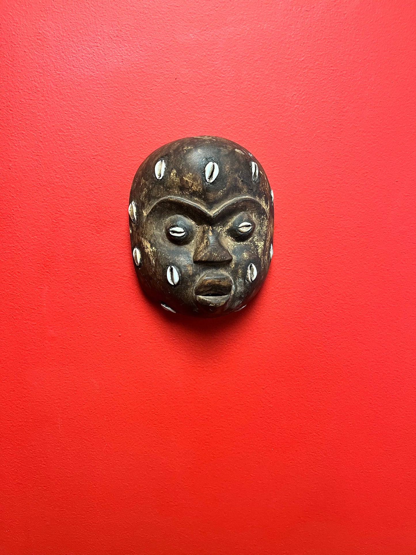 Wonderful African antique very rare 6 x 5 mask with puka shells   wow