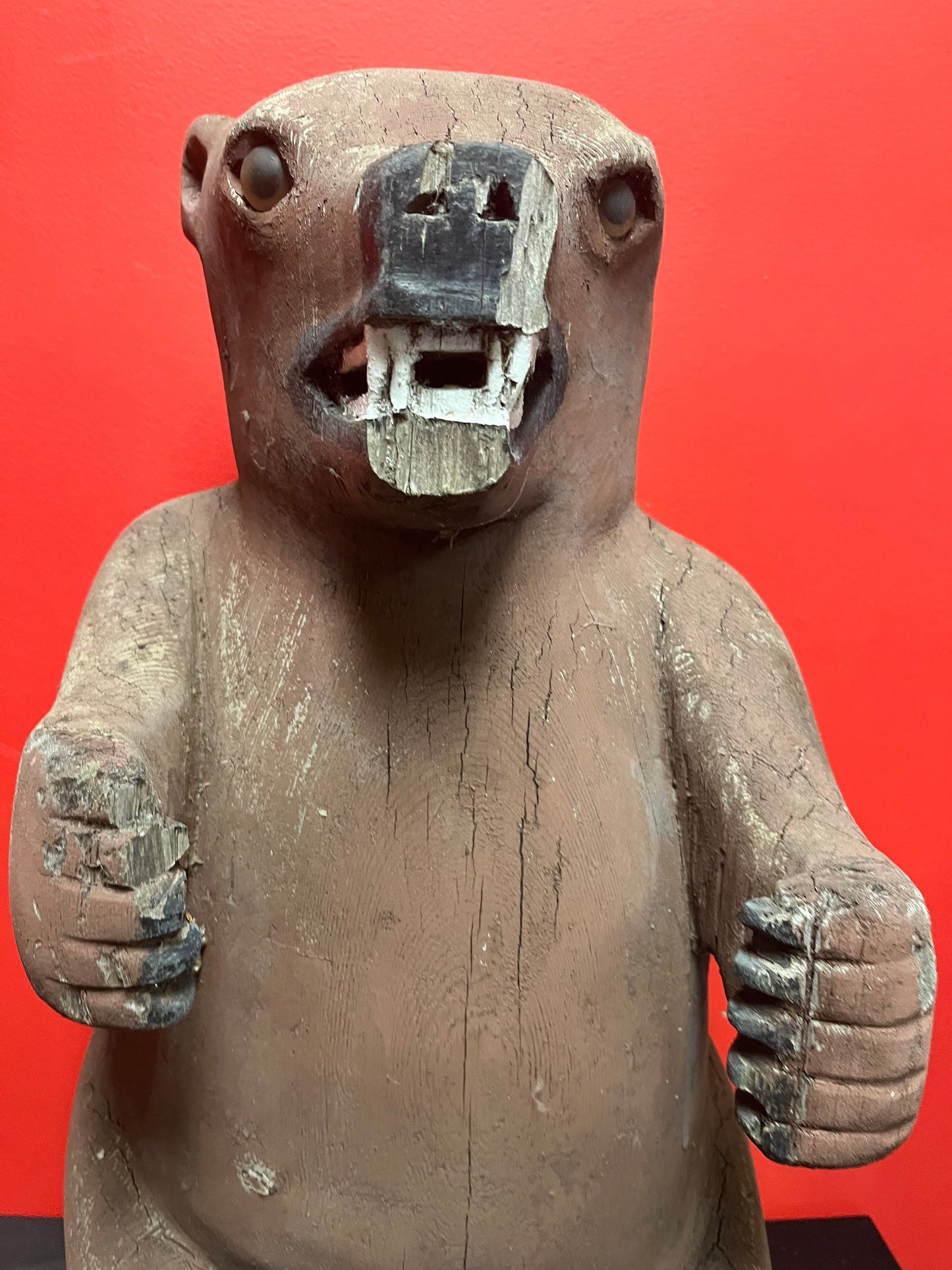 27 inch tall heavy Cedar 1940s indigenous Haida carved bear  antique condition  museum quality stunner