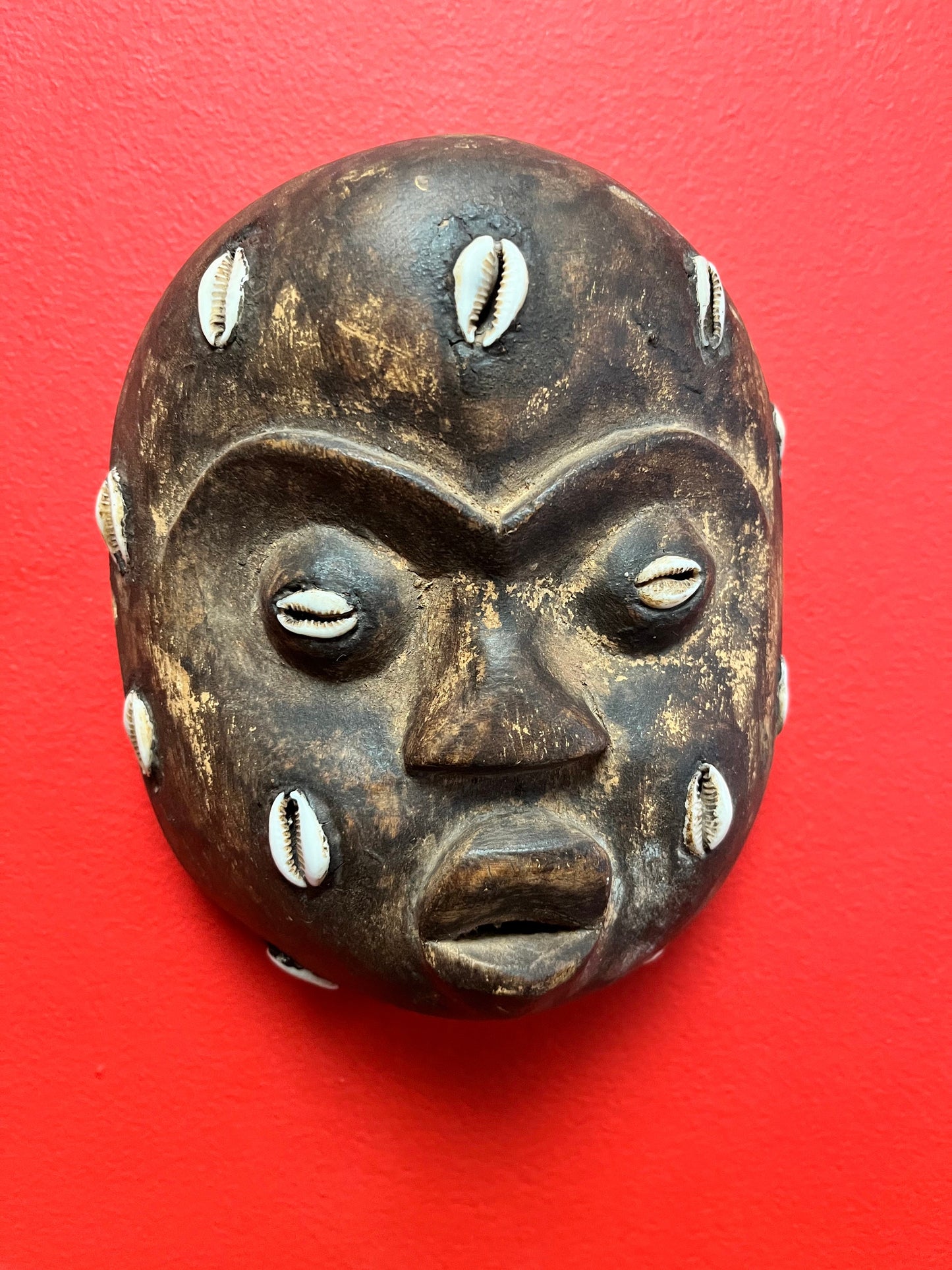 Wonderful African antique very rare 6 x 5 mask with puka shells   wow