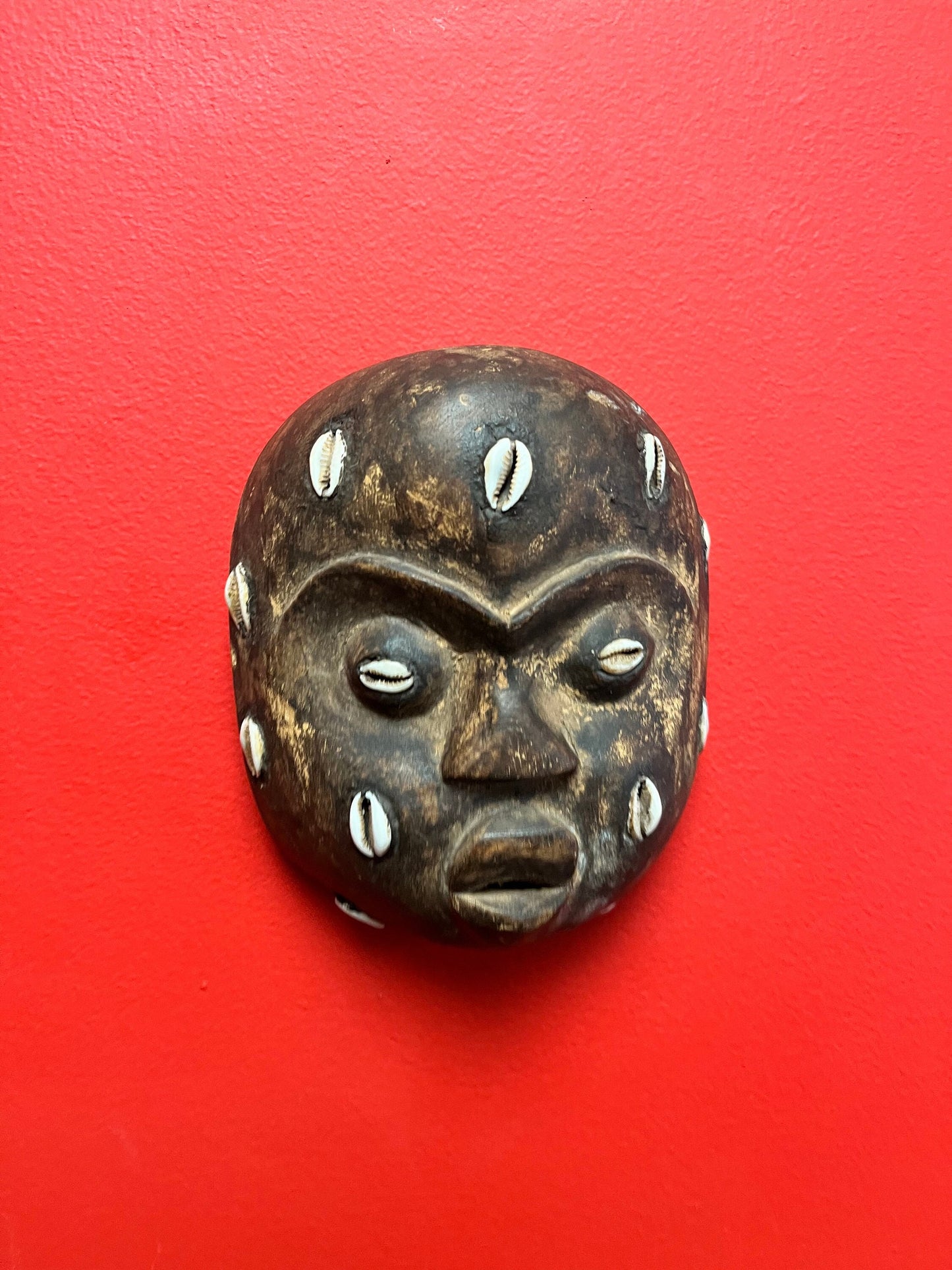 Wonderful African antique very rare 6 x 5 mask with puka shells   wow