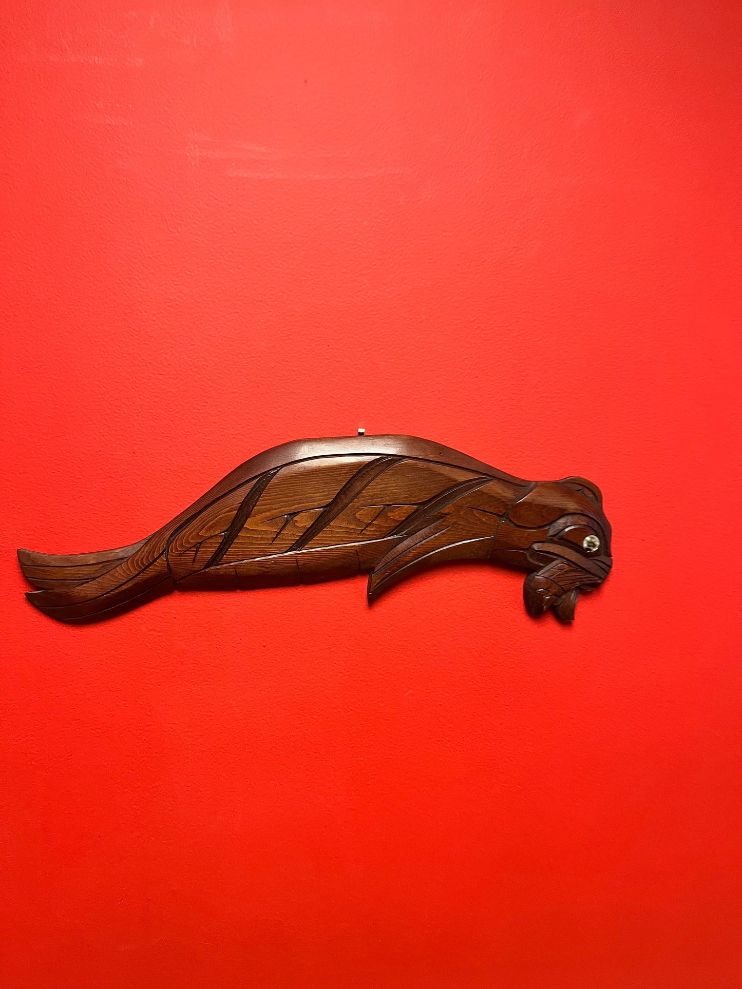 20 x 6 wide Indigenous First Nations Salish signed seal eating a salmon by Norman Bob