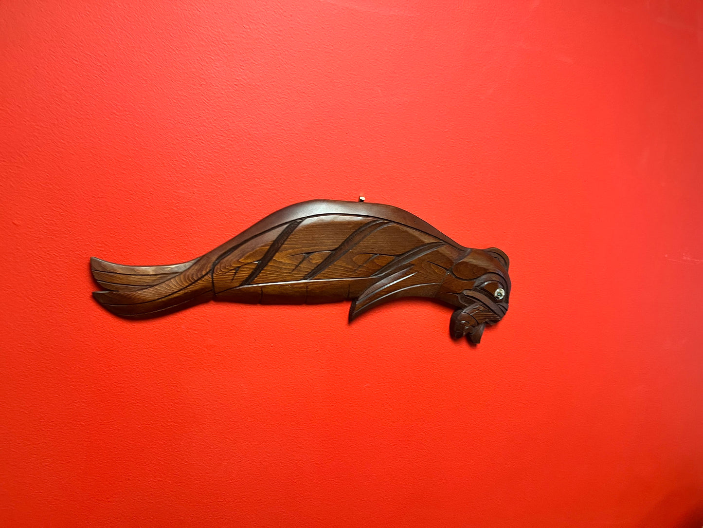20 x 6 wide Indigenous First Nations Salish signed seal eating a salmon by Norman Bob