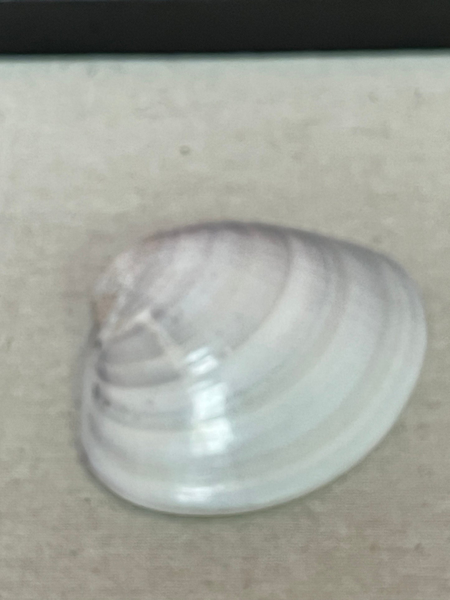 3.5 inch lovely Japanese hand painted oyster shell.