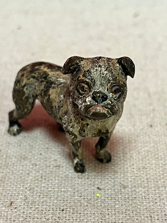 Stunning 1.5 inch Franz Bergman cold  painted bronze pug dog In poor condition  wow