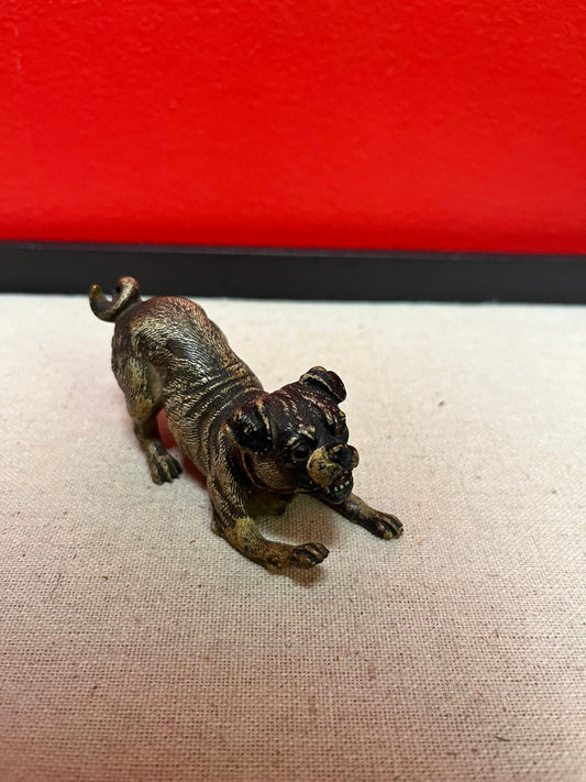 Stunning 3.5 inch Franz Bergman cold  painted bronze crouching dog in good condition  wow  great expression