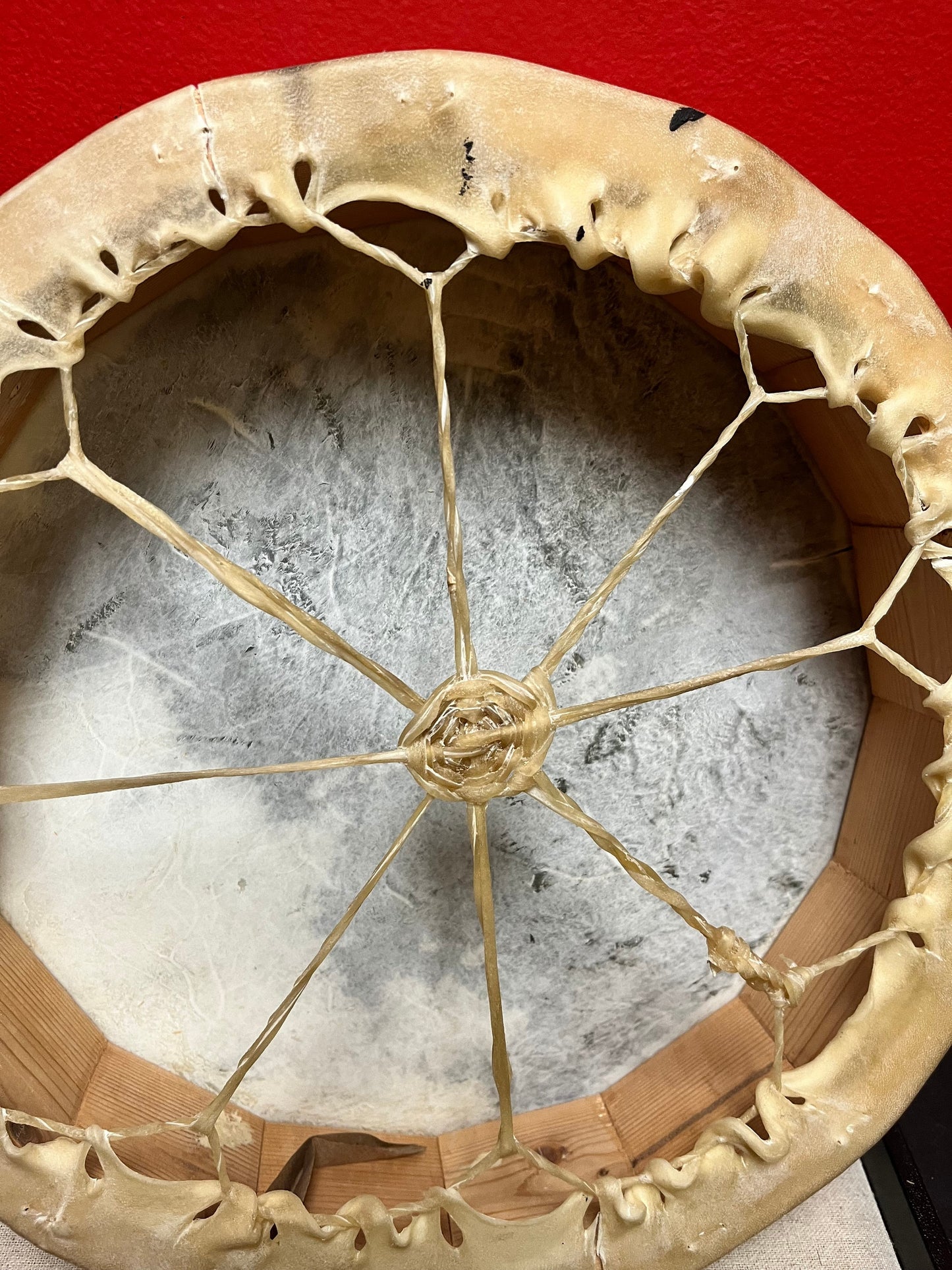 Amazing 12 inch wide hand painted indigenous first nations Pacific Northwest coast signed drum great imagery - eagle