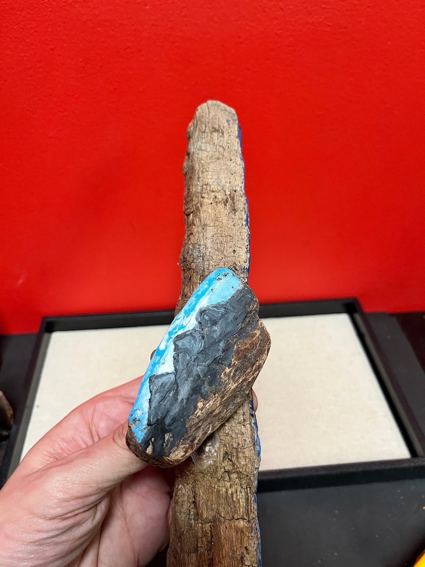 Lovely hand painted Driftwood art from the nanaimo British Columbia   12 inches long  great gift