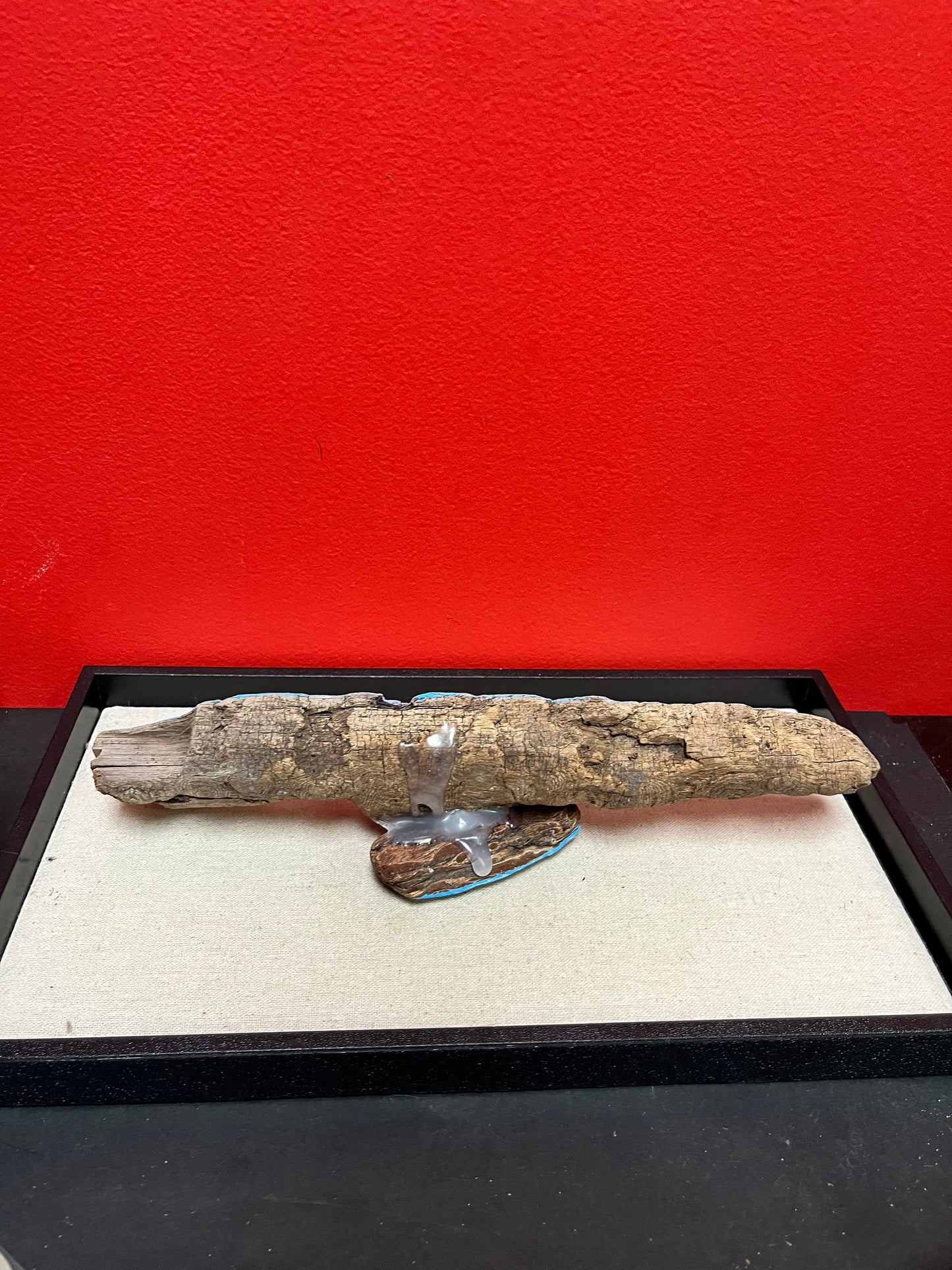 Lovely hand painted Driftwood art from the nanaimo British Columbia   12 inches long  great gift