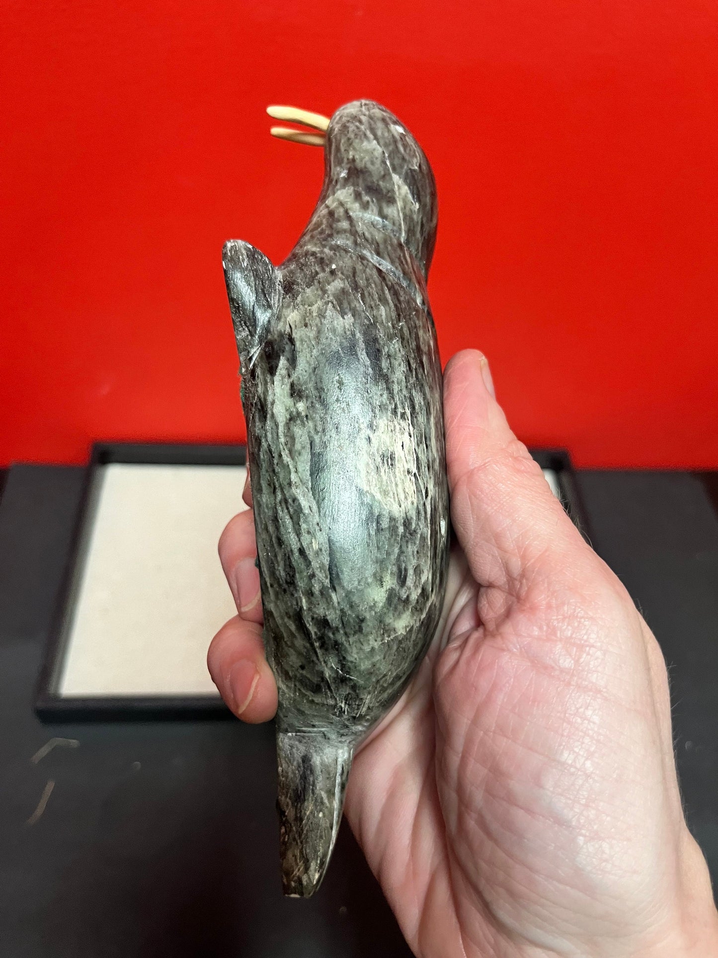 A  Fabulous 8 inch long indigenous Inuit soapstone walrus signed by well-known artist